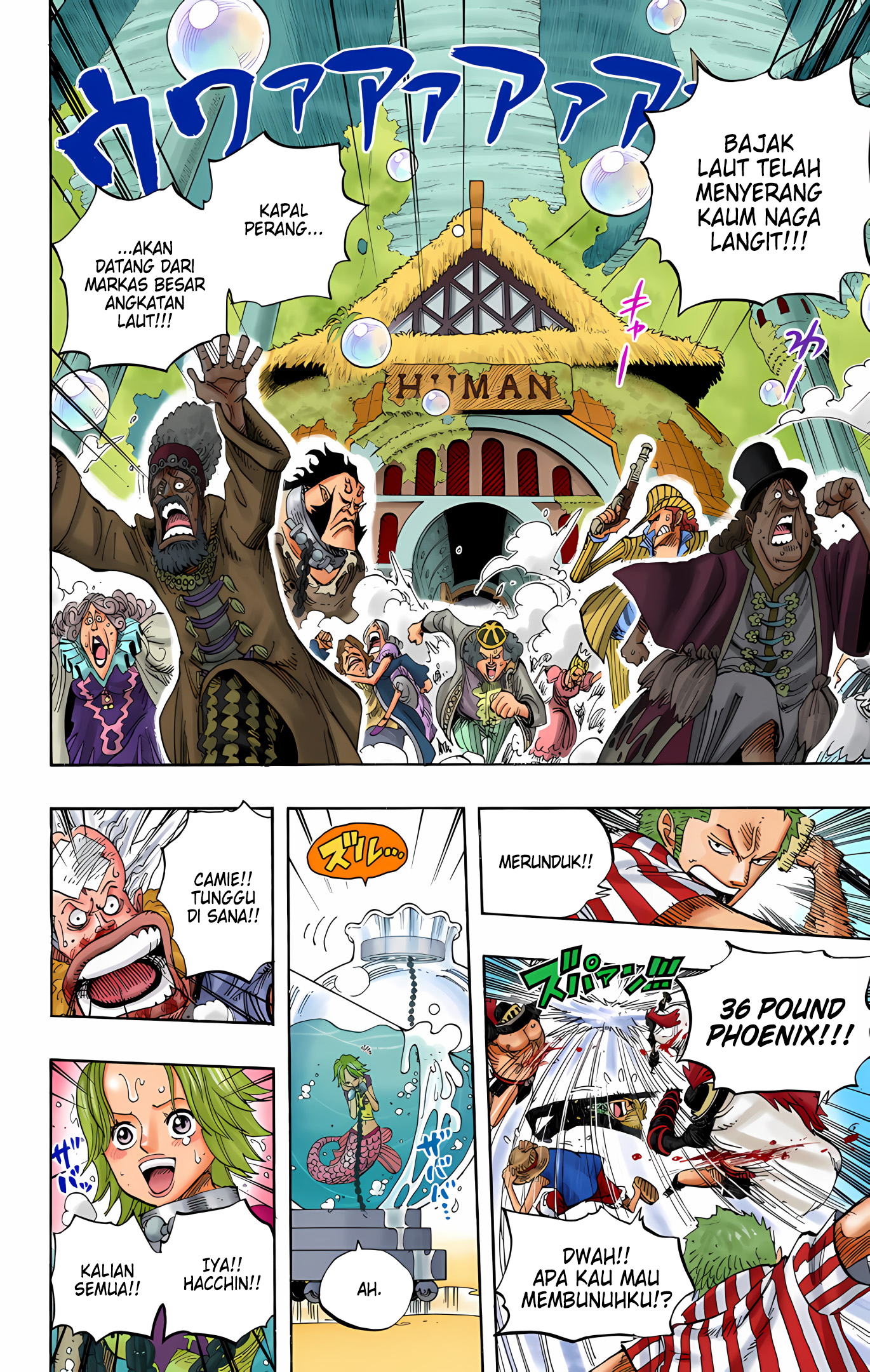 One Piece (Official Colored) Chapter 503 - halaman 15