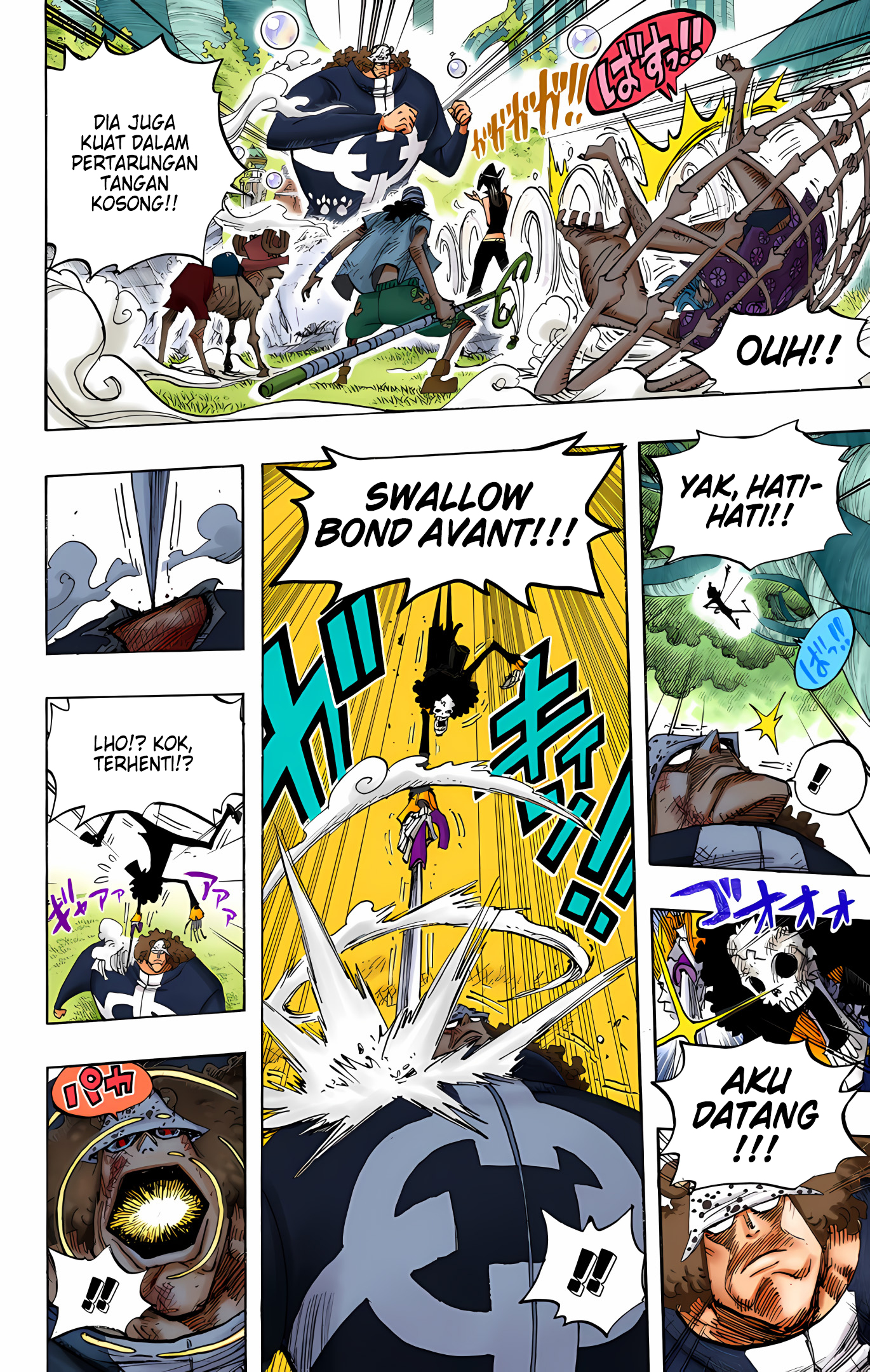 One Piece (Official Colored) Chapter 510 - halaman 12