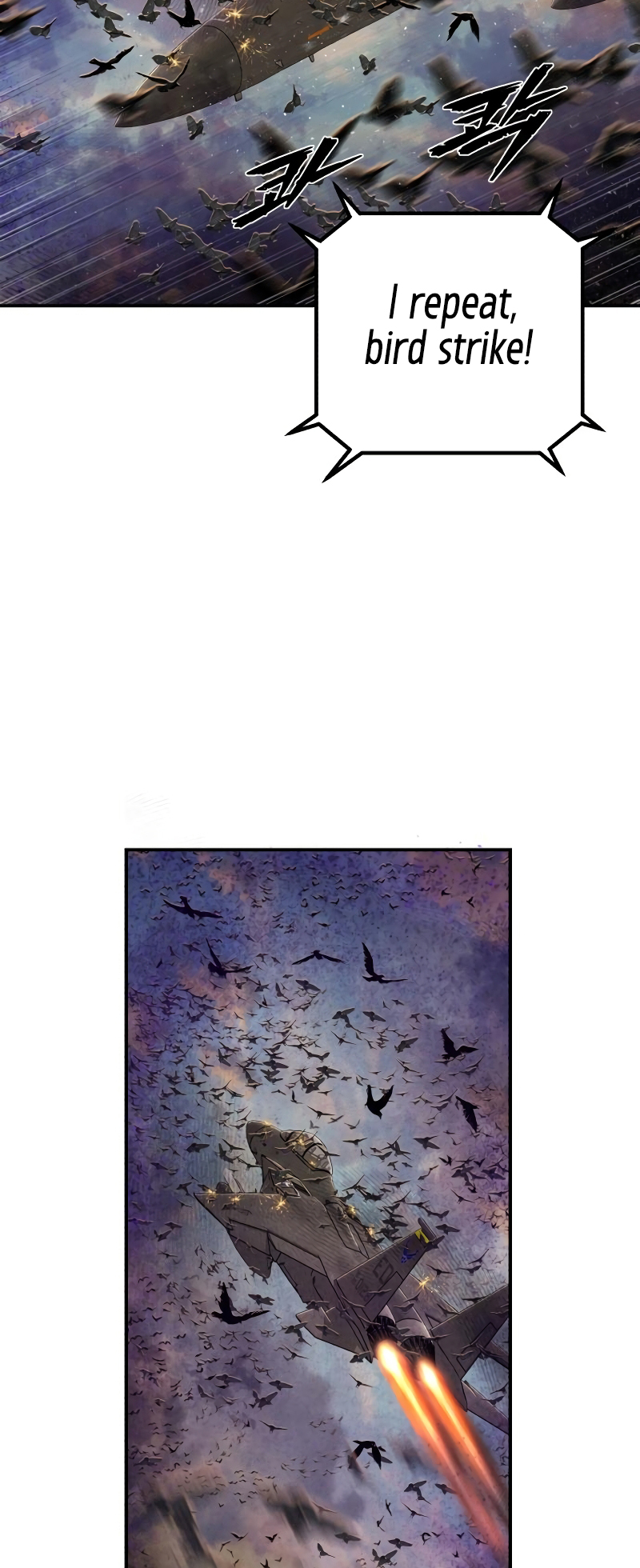 79