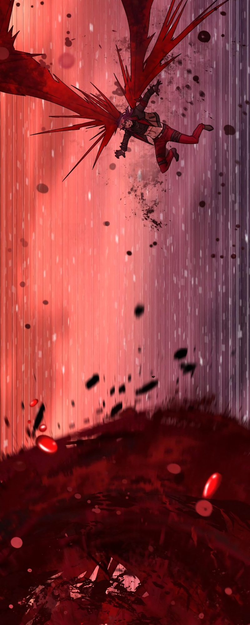 41