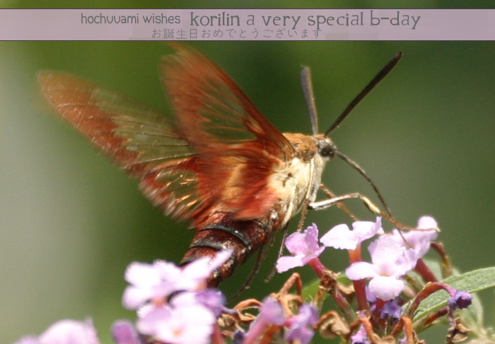 Halaman dari Zettai Unmei Houteishiki Chapter 1