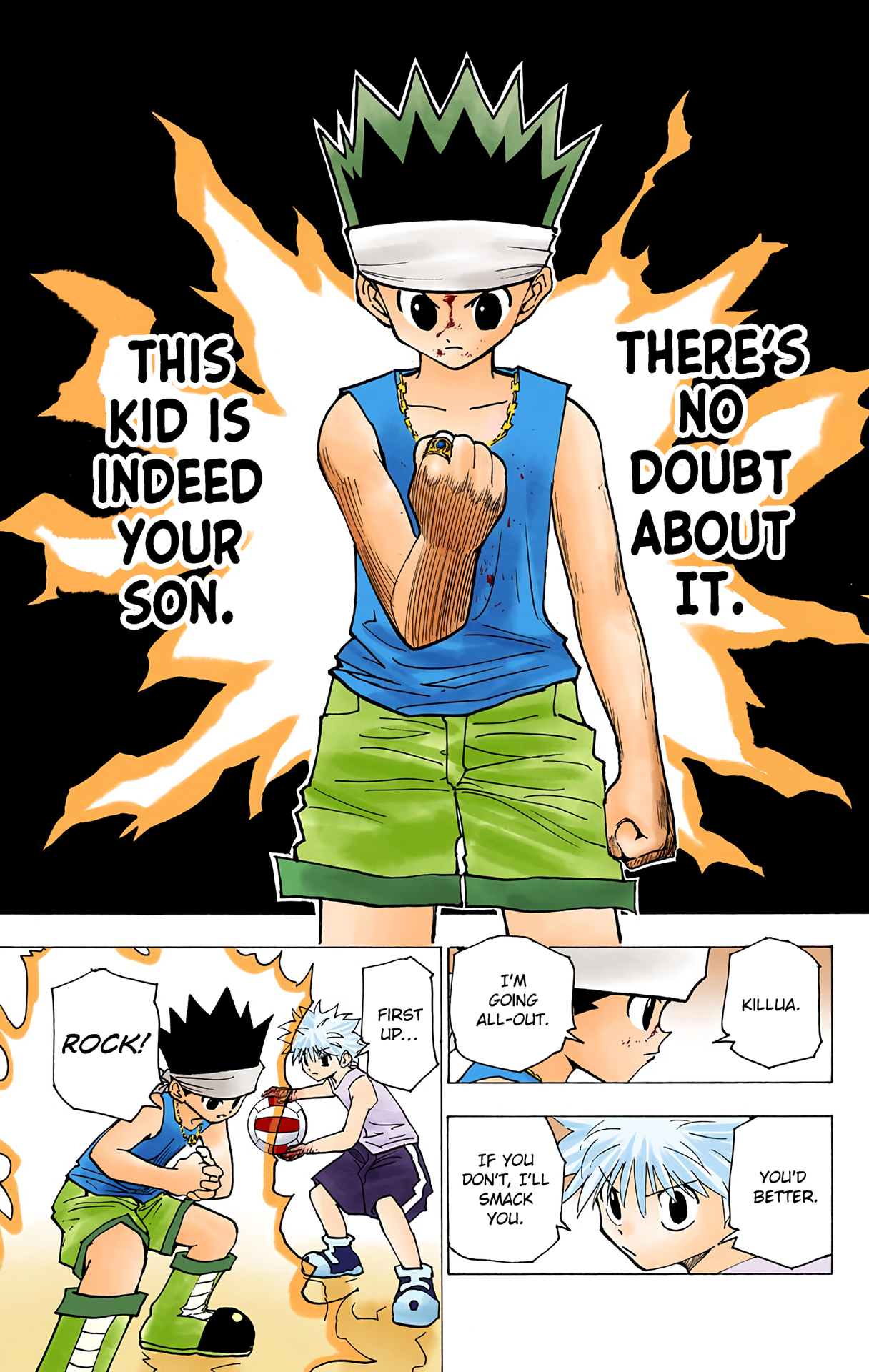 Halaman dari HUNTER x HUNTER (Official Colored) Chapter 167