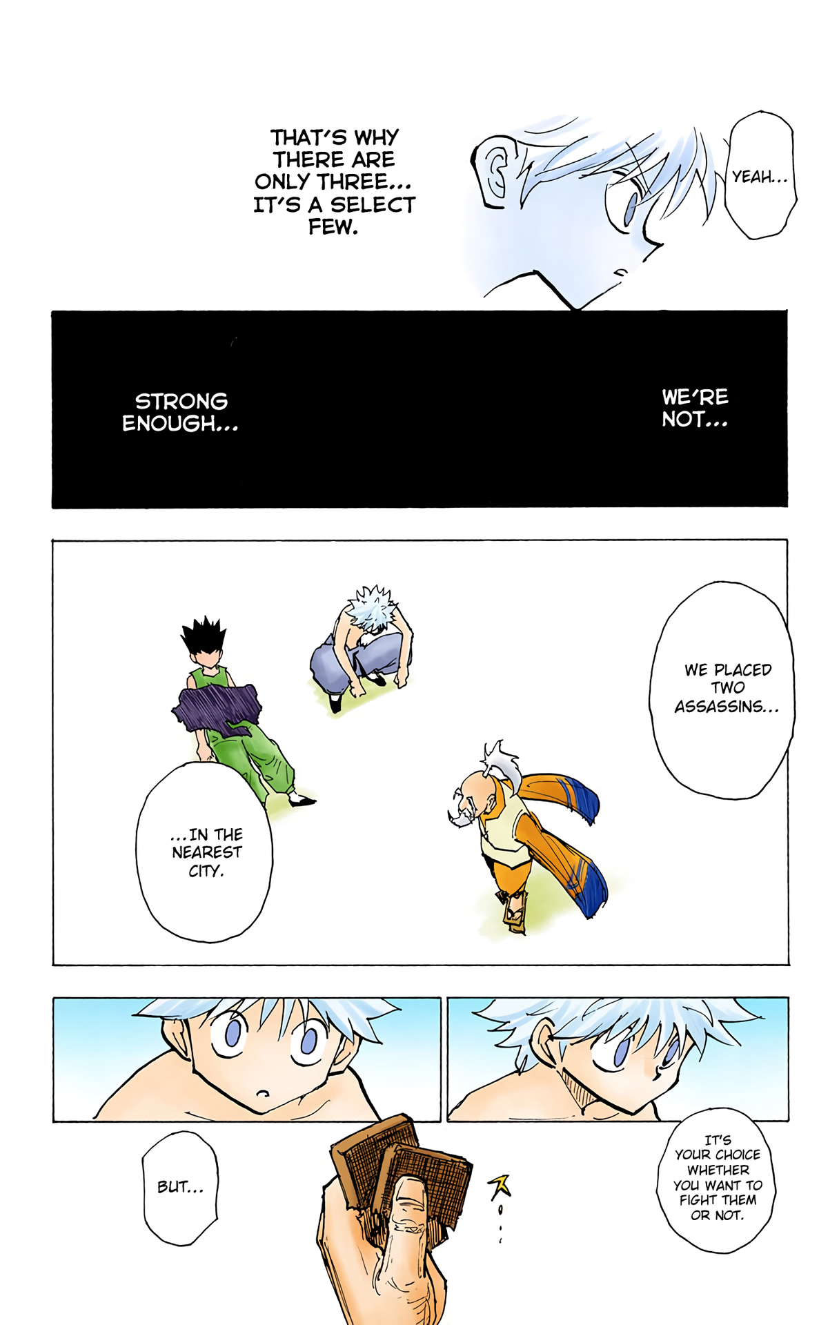Halaman dari HUNTER x HUNTER (Official Colored) Chapter 199