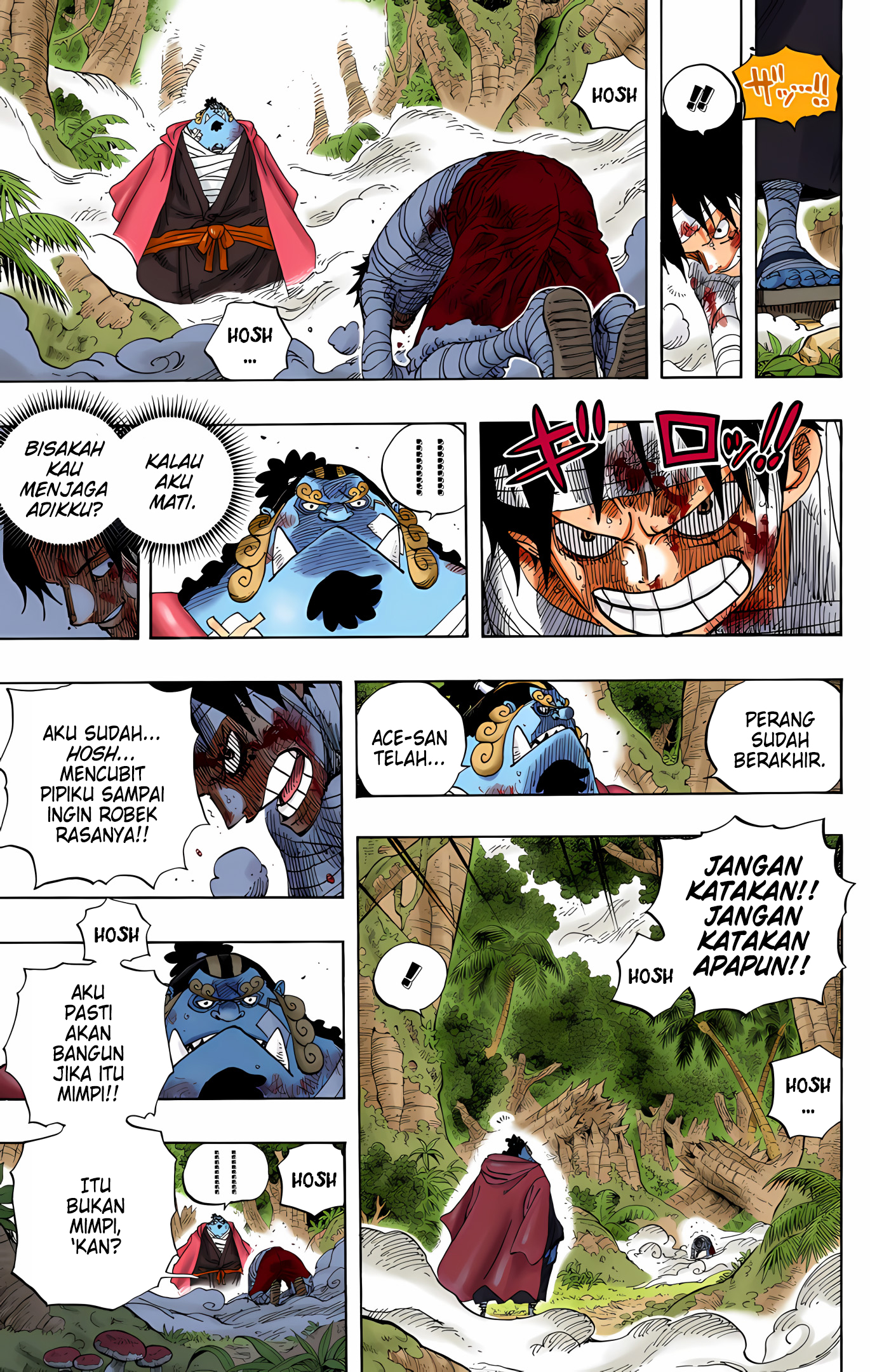 One Piece (Official Colored) Chapter 582 - halaman 13