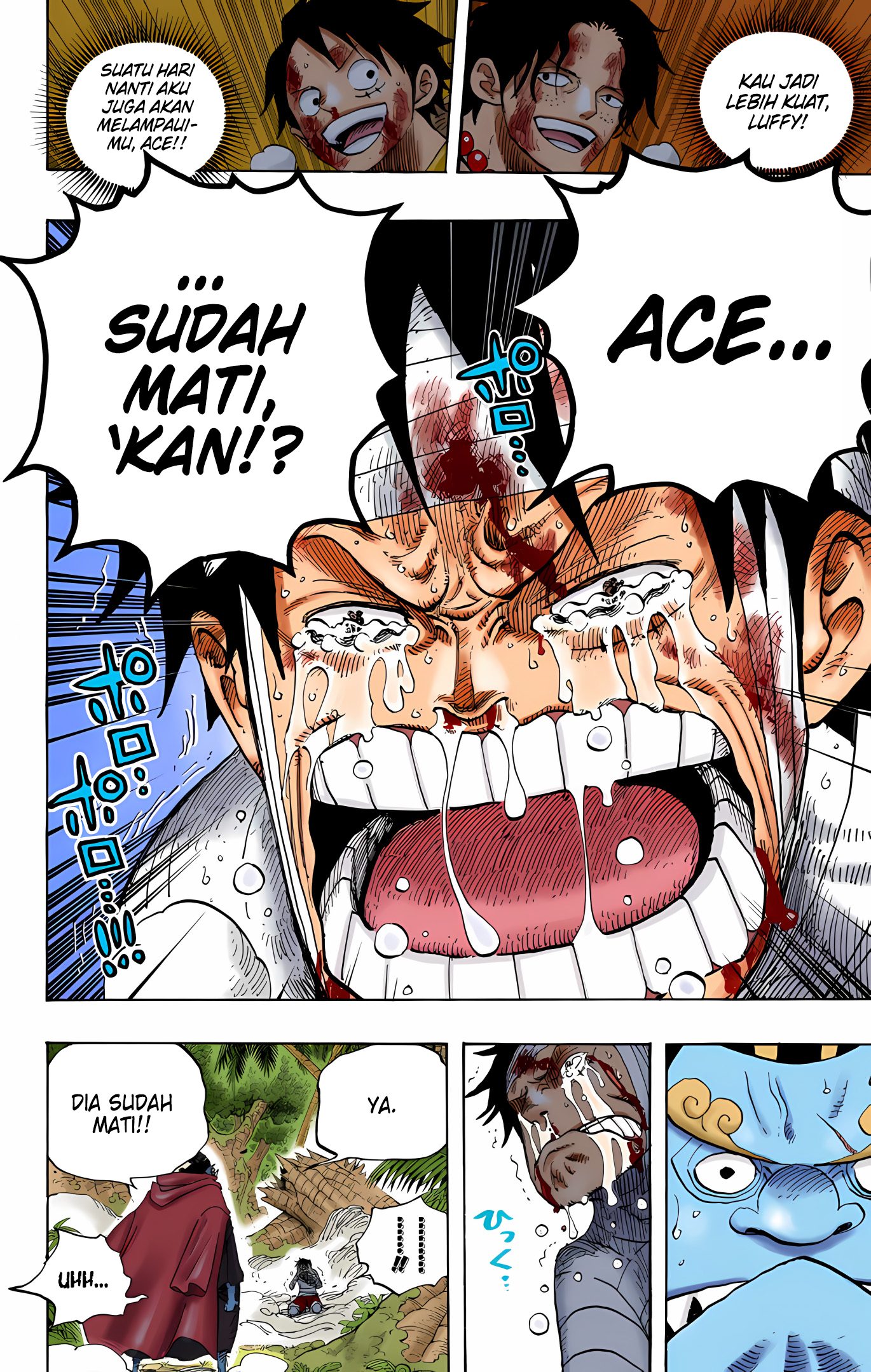 One Piece (Official Colored) Chapter 582 - halaman 14