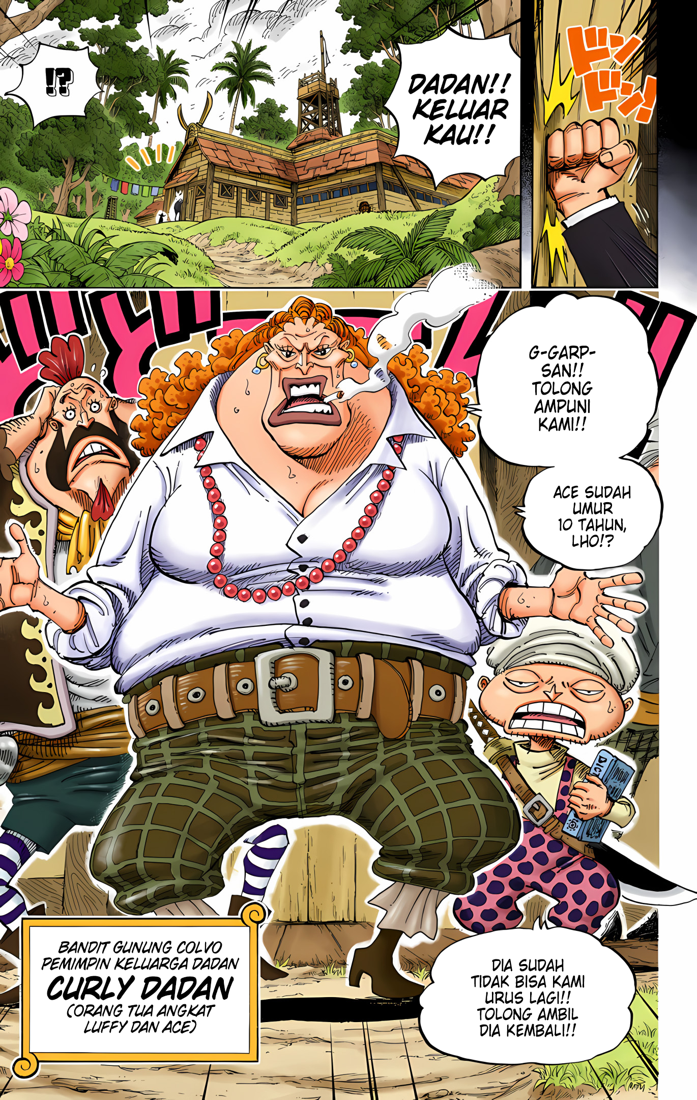One Piece (Official Colored) Chapter 582 - halaman 17