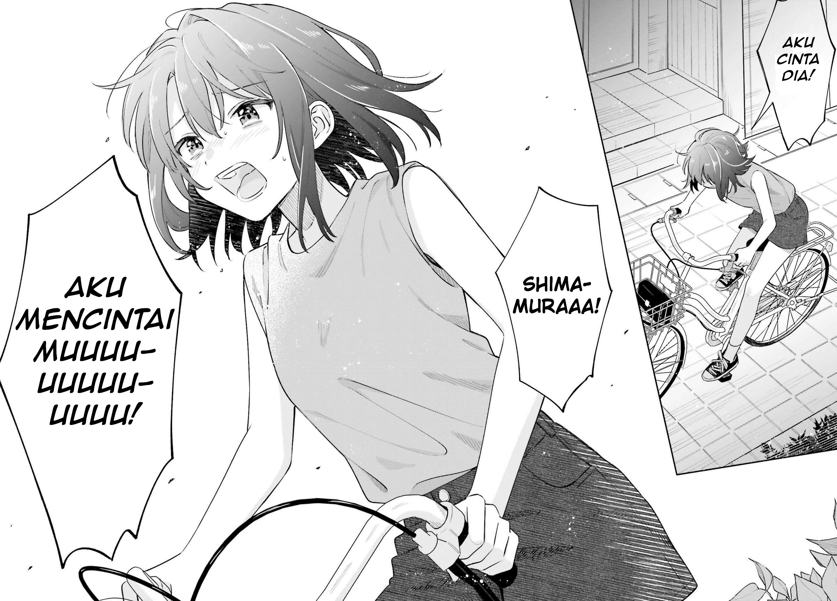 Adachi to Shimamura Chapter 33.2 - halaman 11