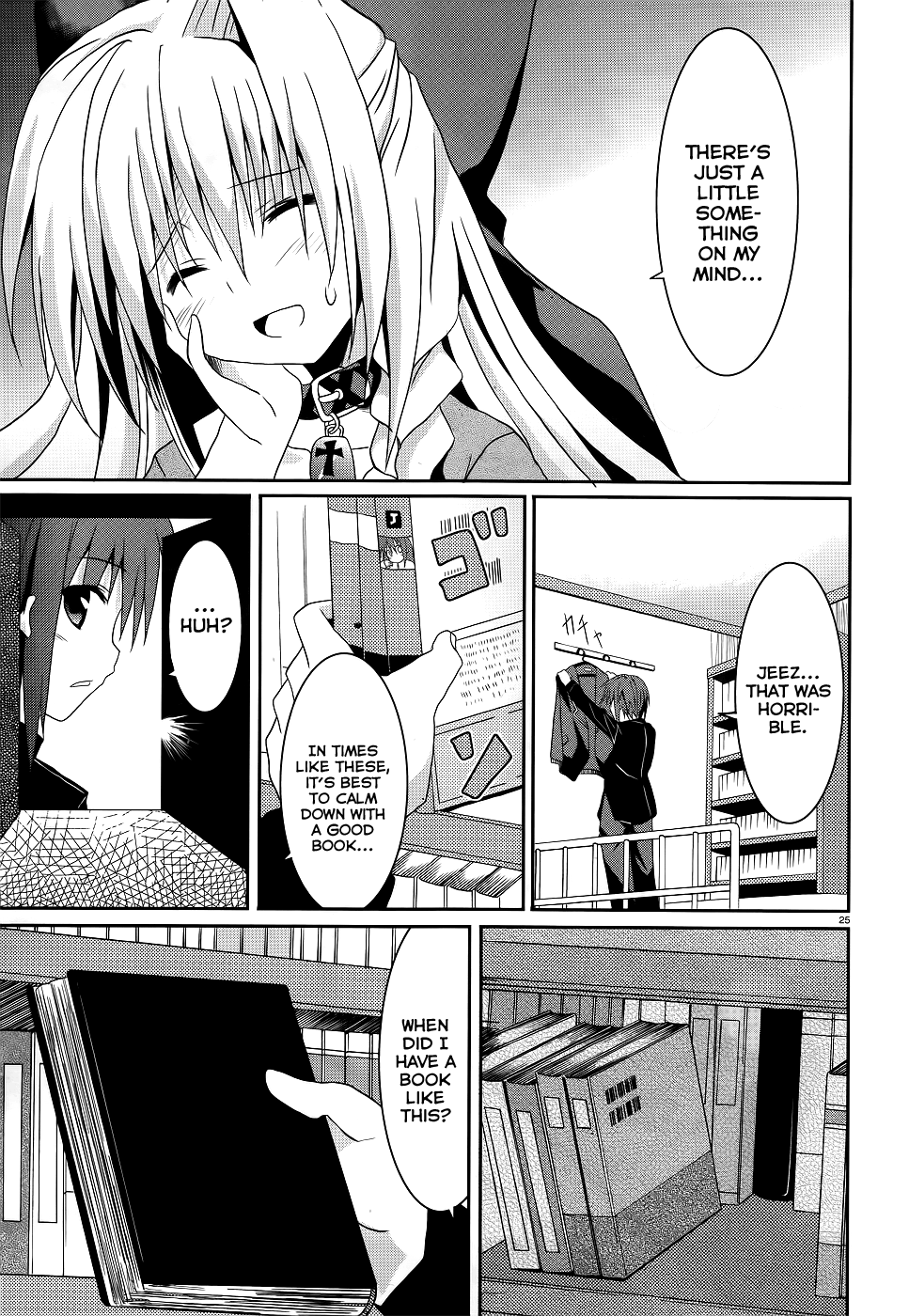 Page 25