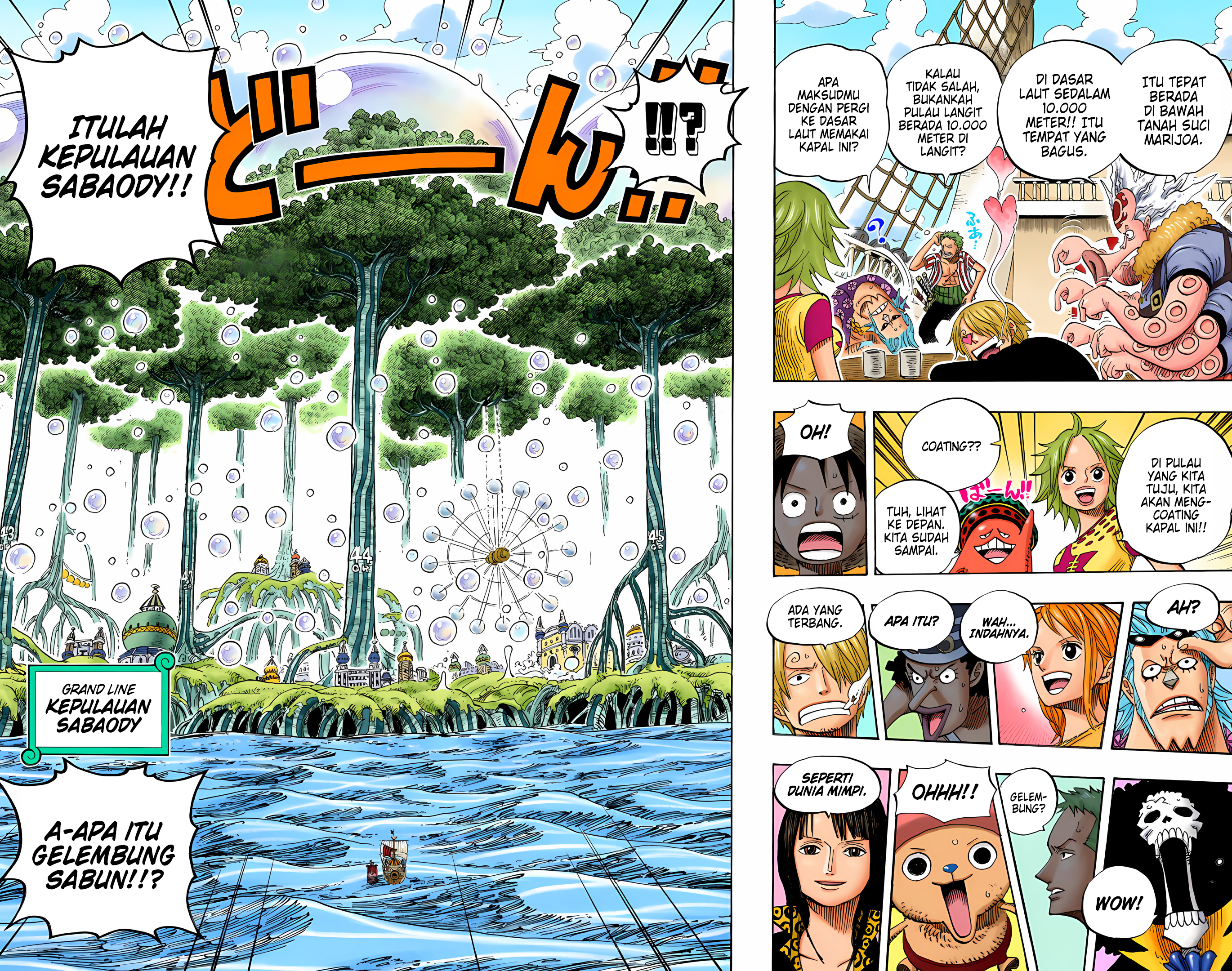 One Piece (Official Colored) Chapter 496 - halaman 12