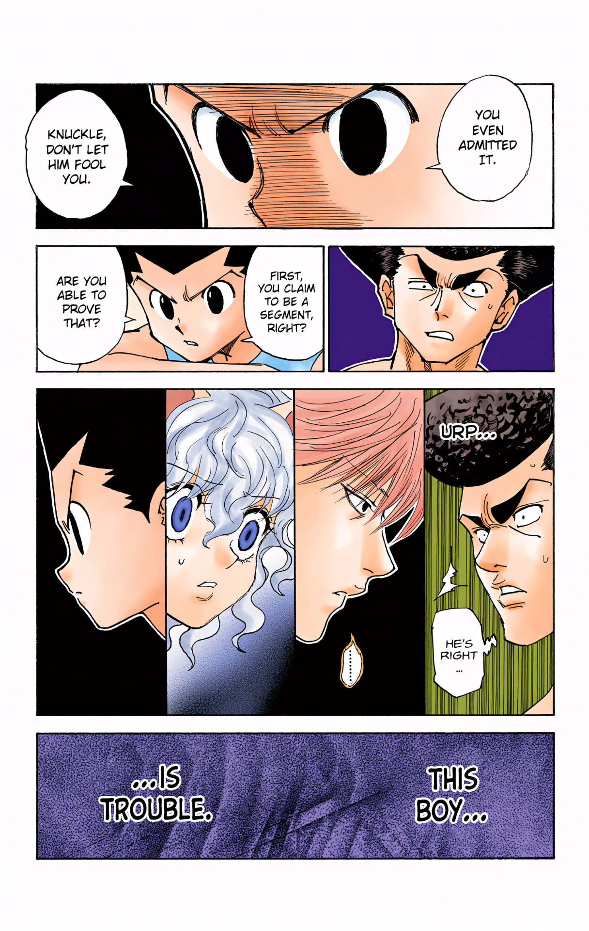 Halaman dari HUNTER x HUNTER (Official Colored) Chapter 295