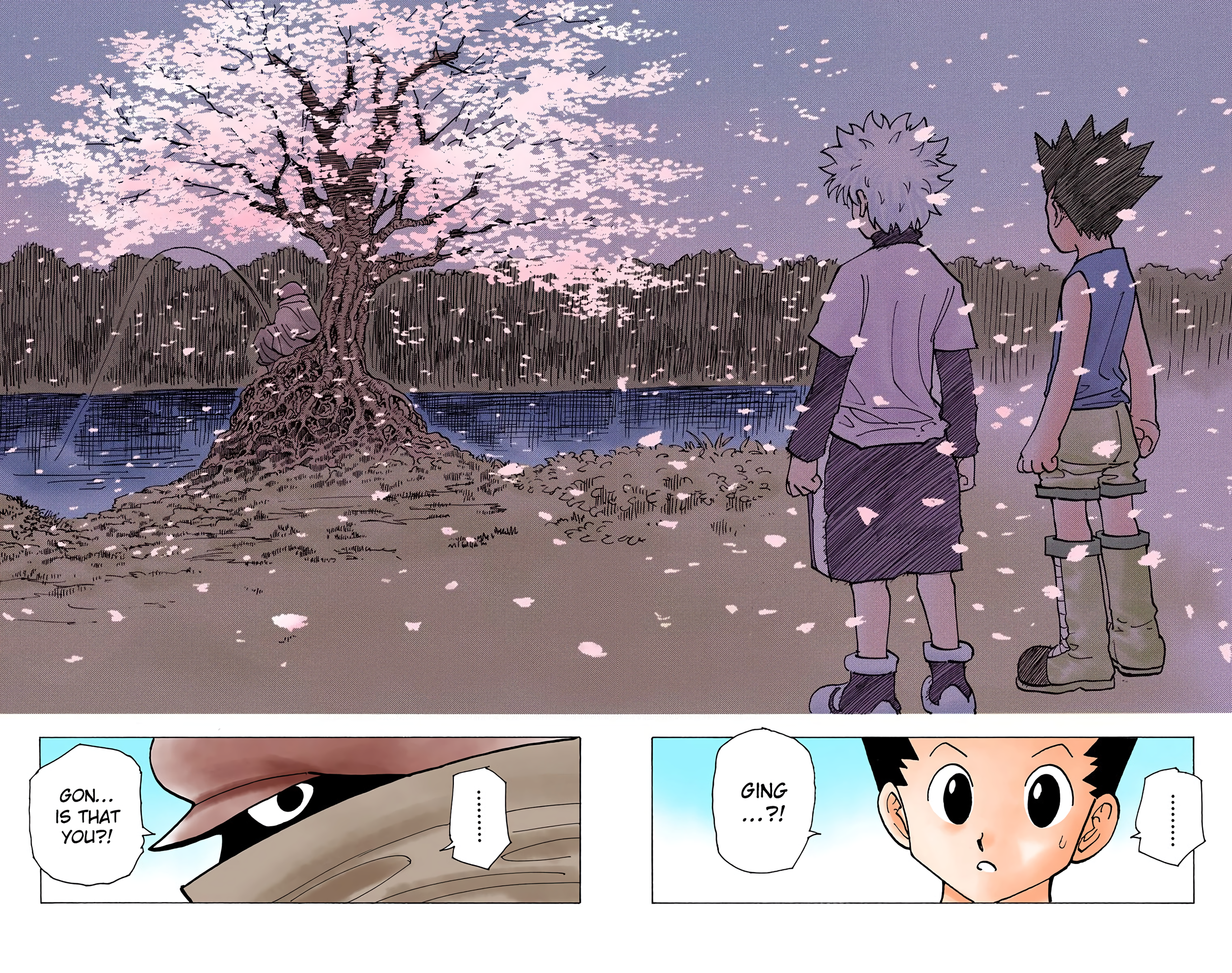 Halaman dari HUNTER x HUNTER (Official Colored) Chapter 185