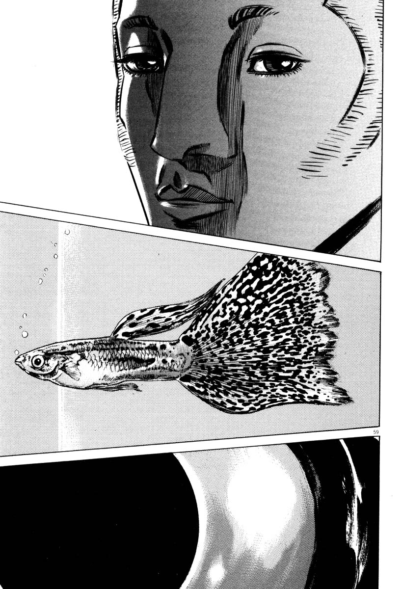61