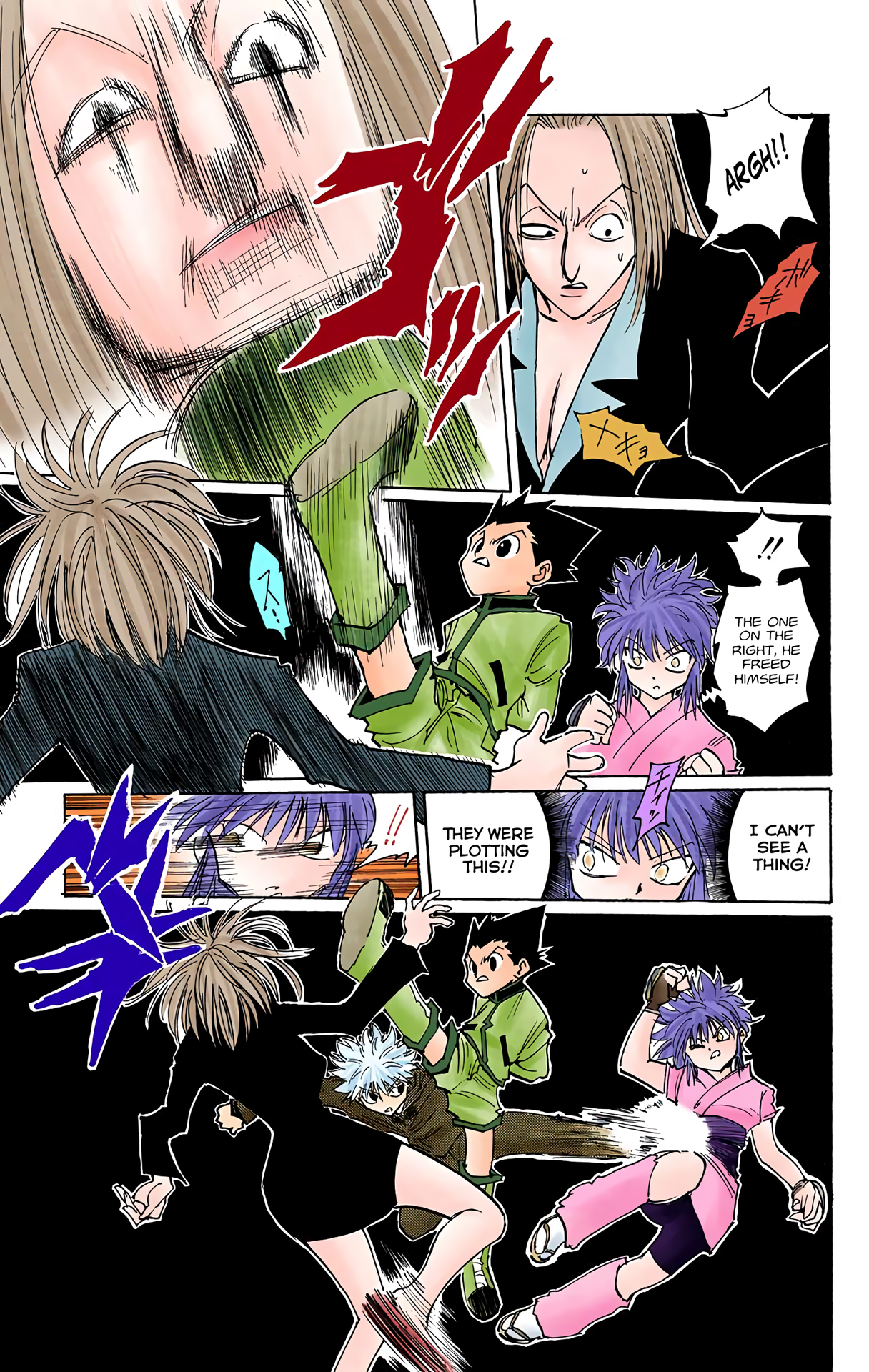 Halaman dari HUNTER x HUNTER (Official Colored) Chapter 113