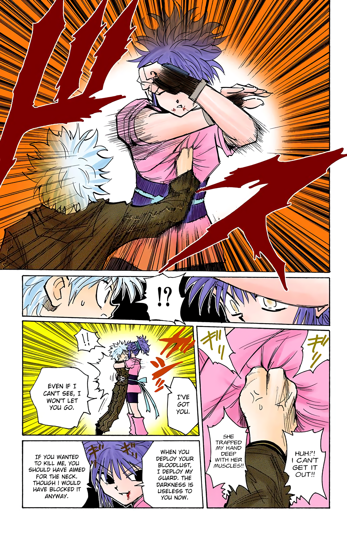 Halaman dari HUNTER x HUNTER (Official Colored) Chapter 113