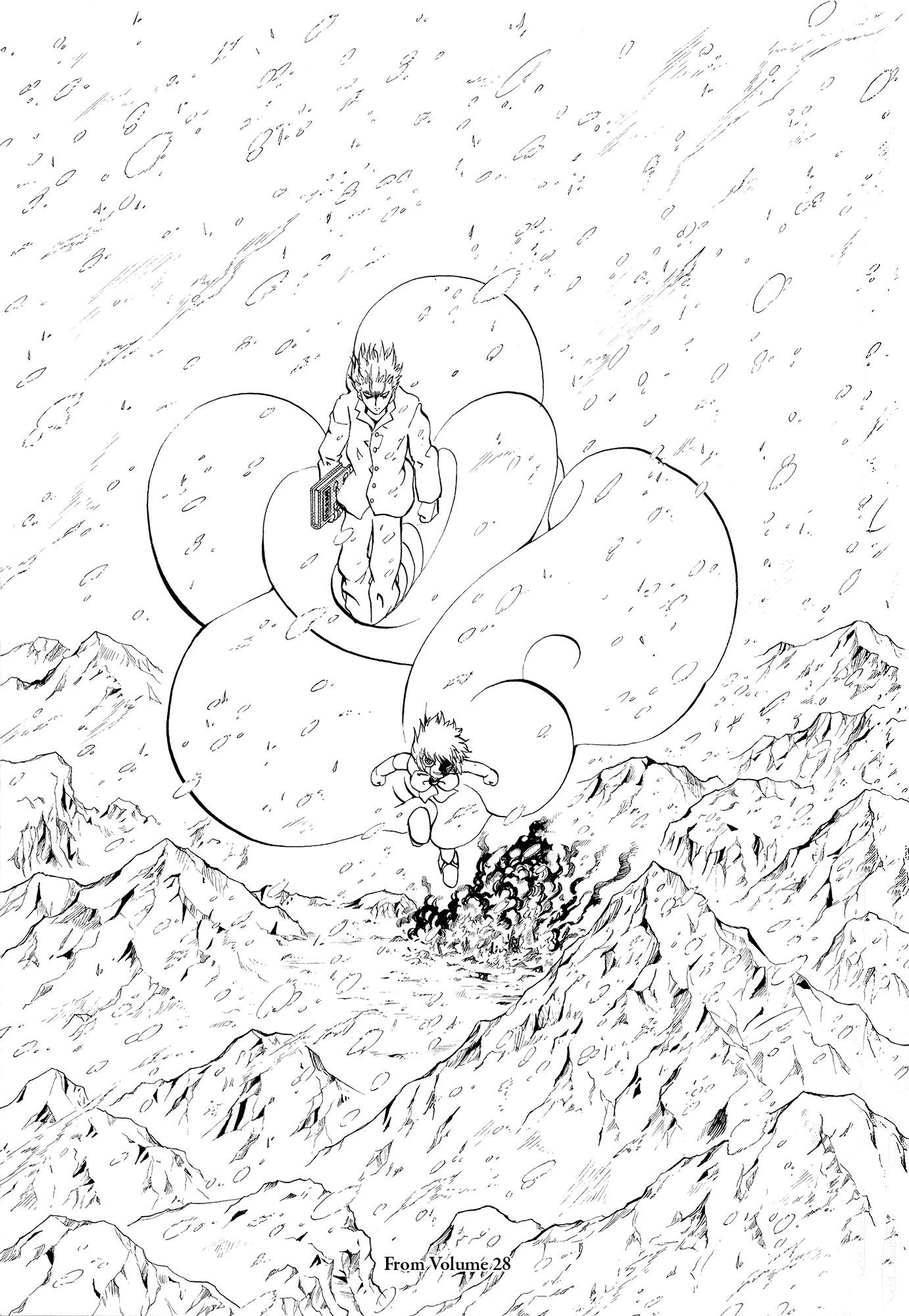 41