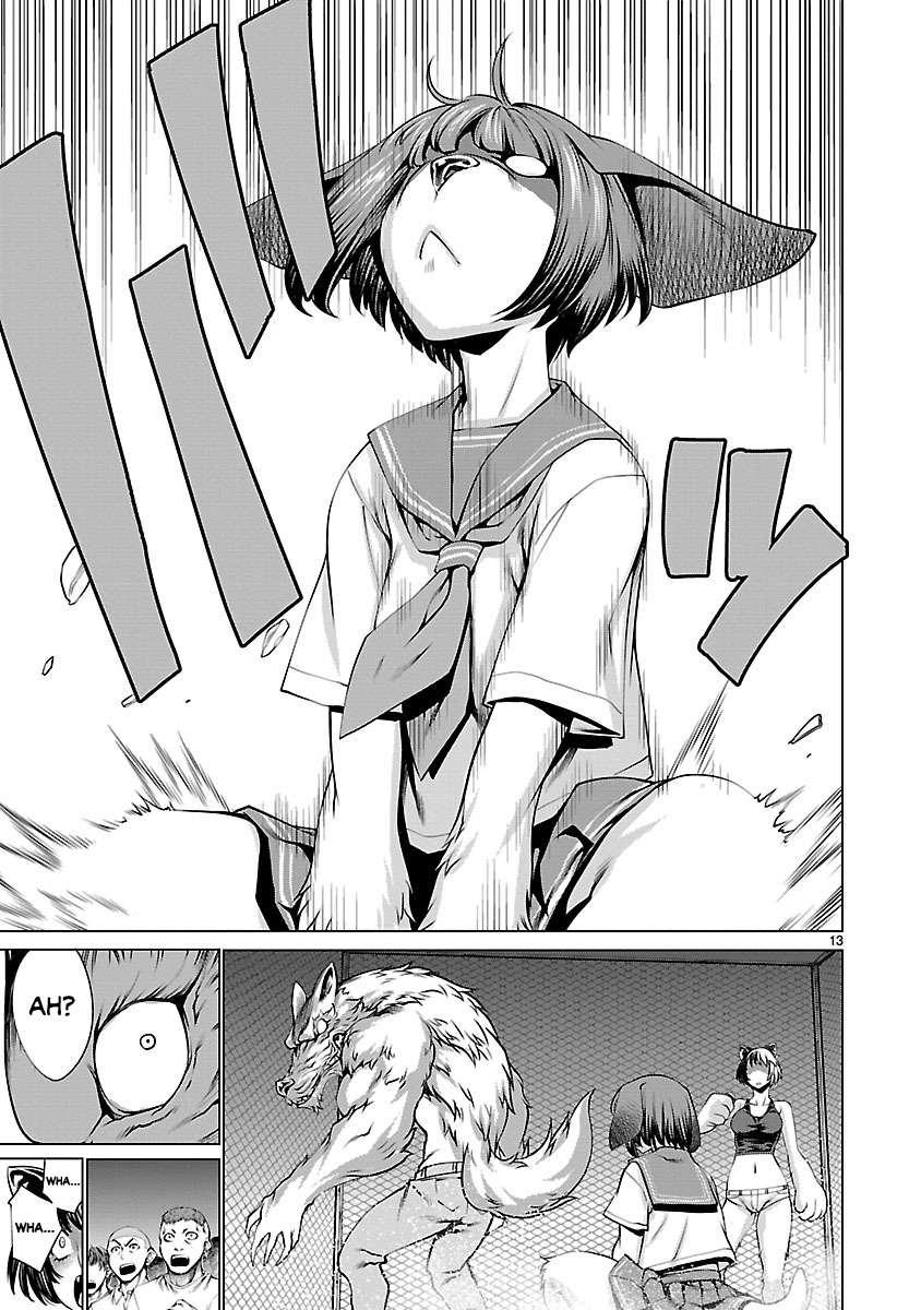 13