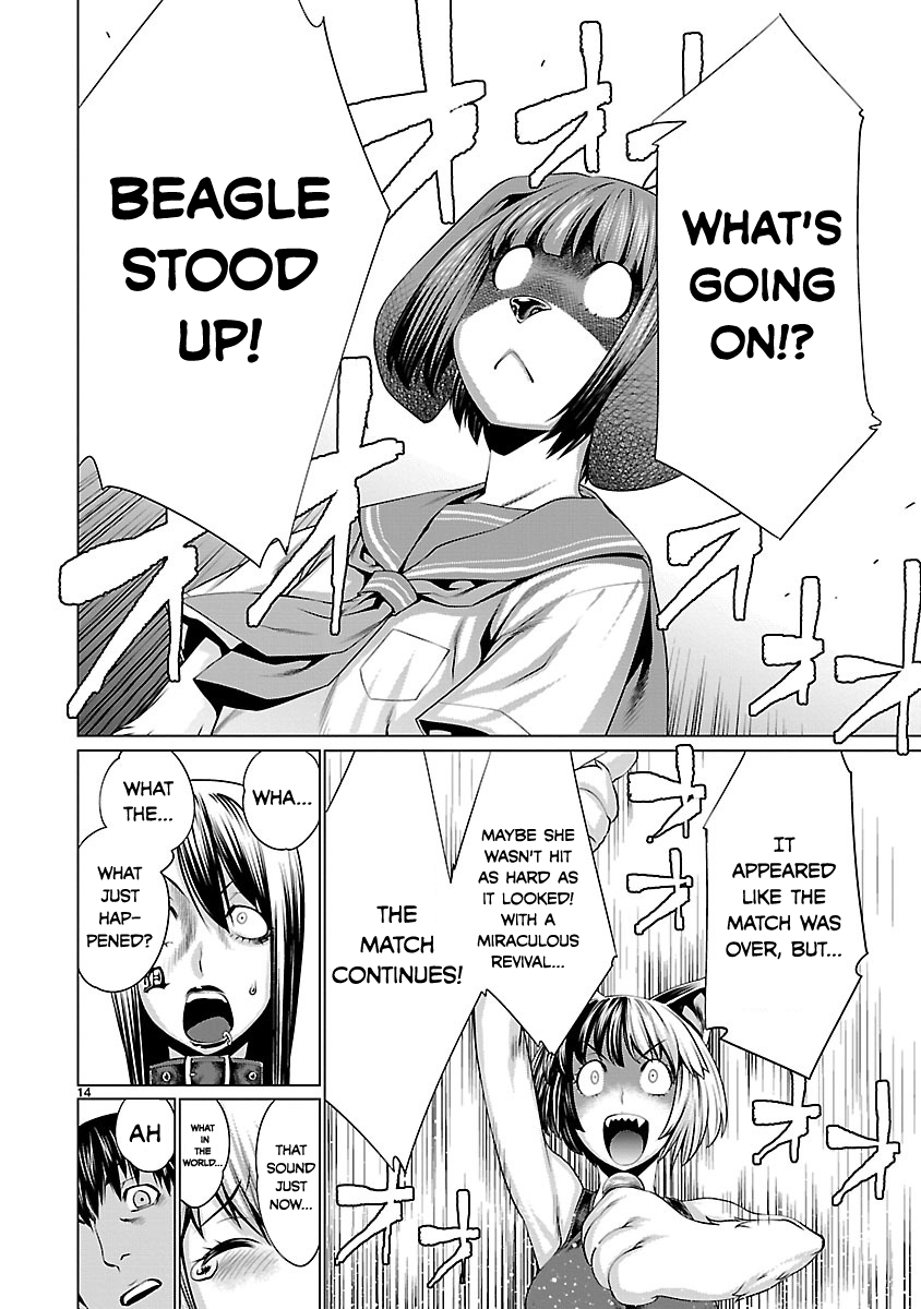 14