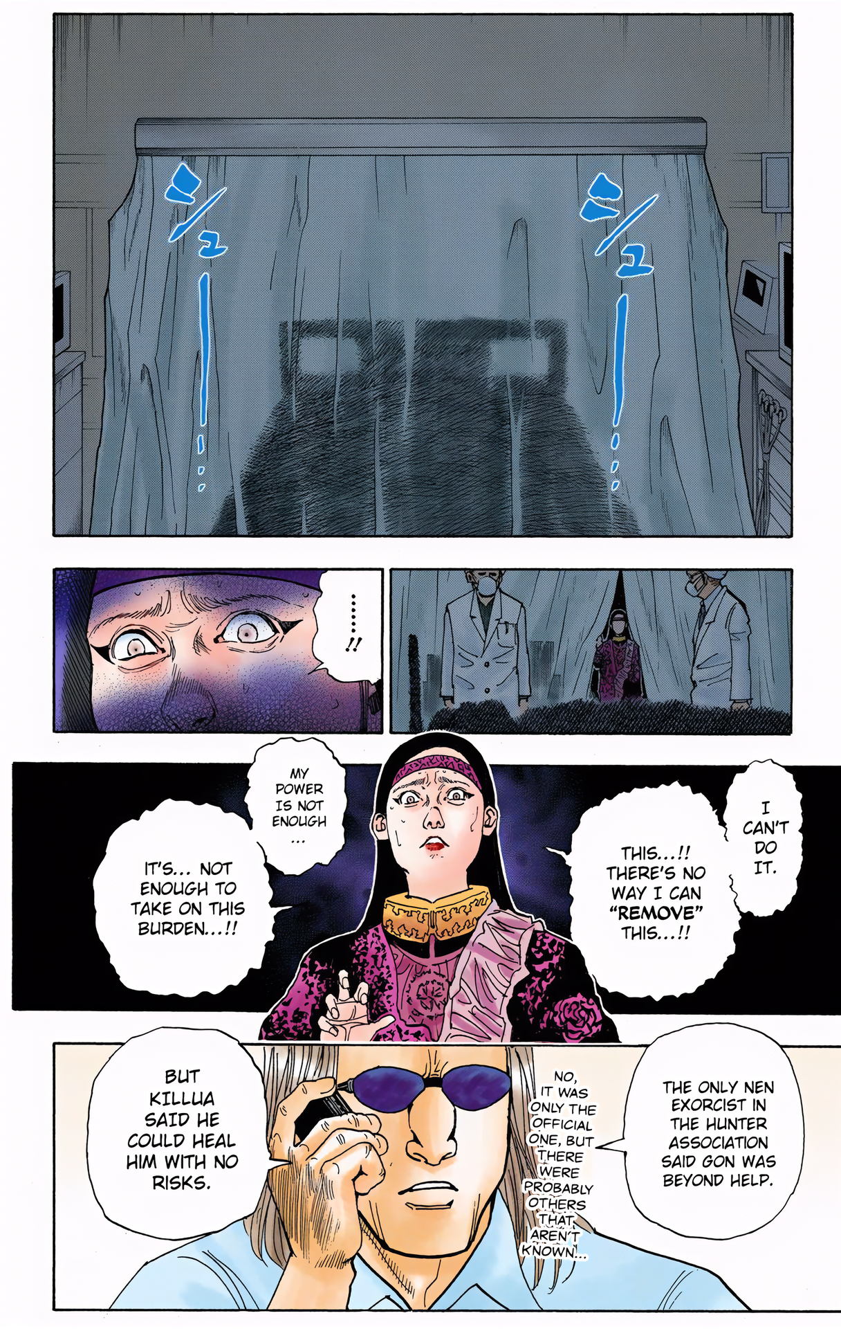 Halaman dari HUNTER x HUNTER (Official Colored) Chapter 325