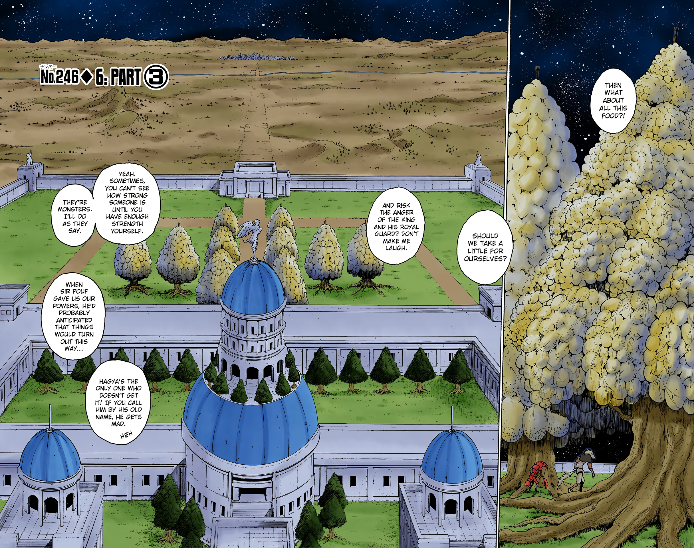 Halaman dari HUNTER x HUNTER (Official Colored) Chapter 246
