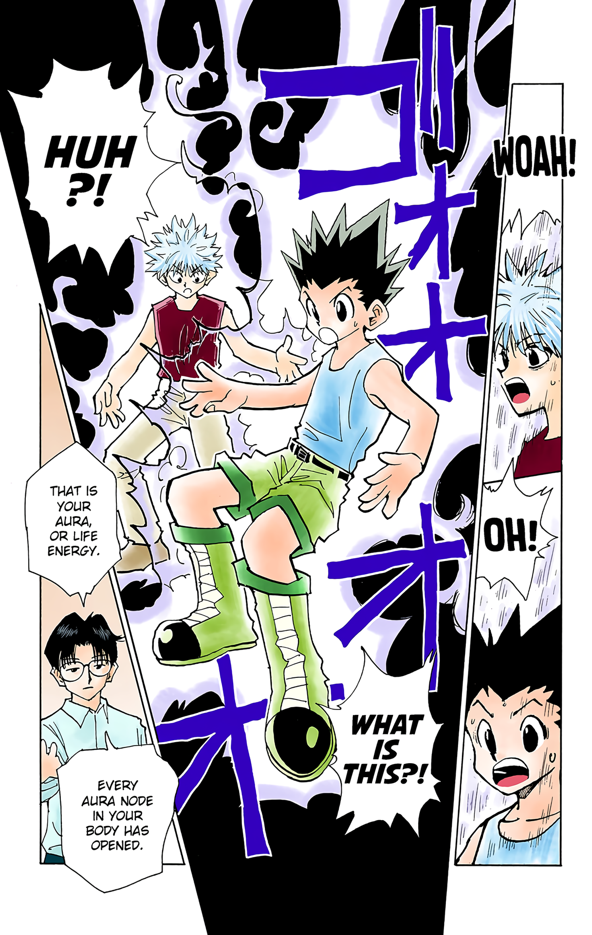 Halaman dari HUNTER x HUNTER (Official Colored) Chapter 48
