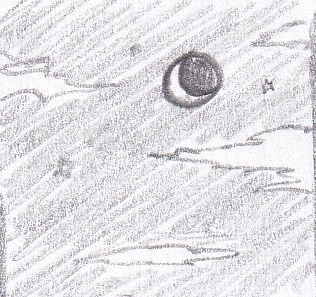 55