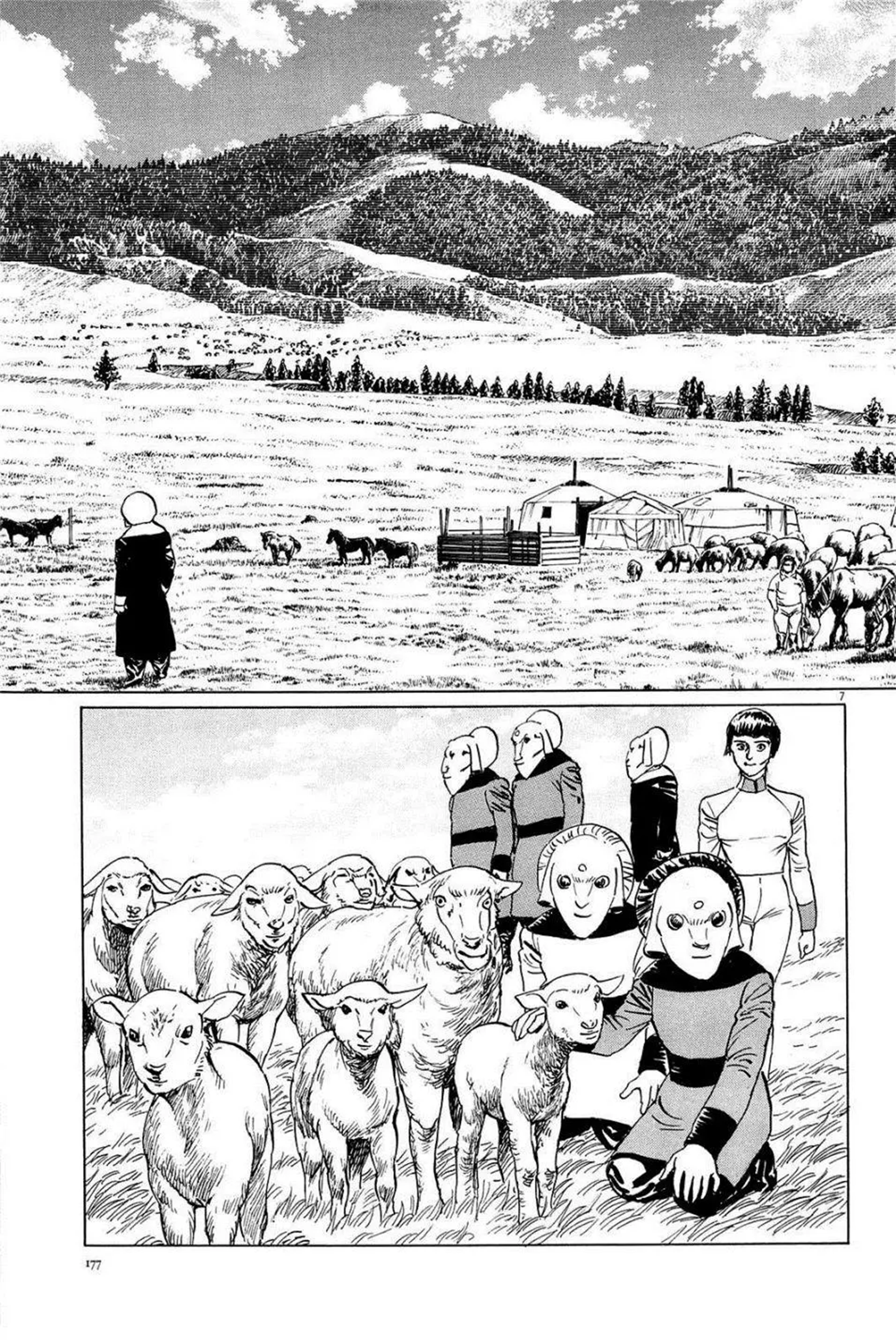 7