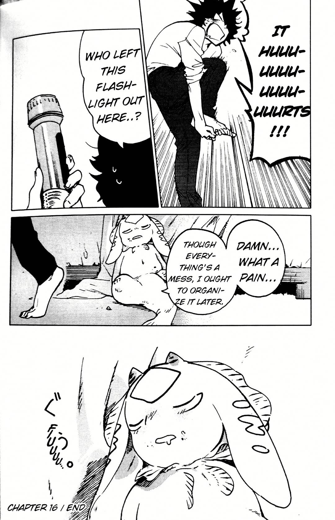 16
