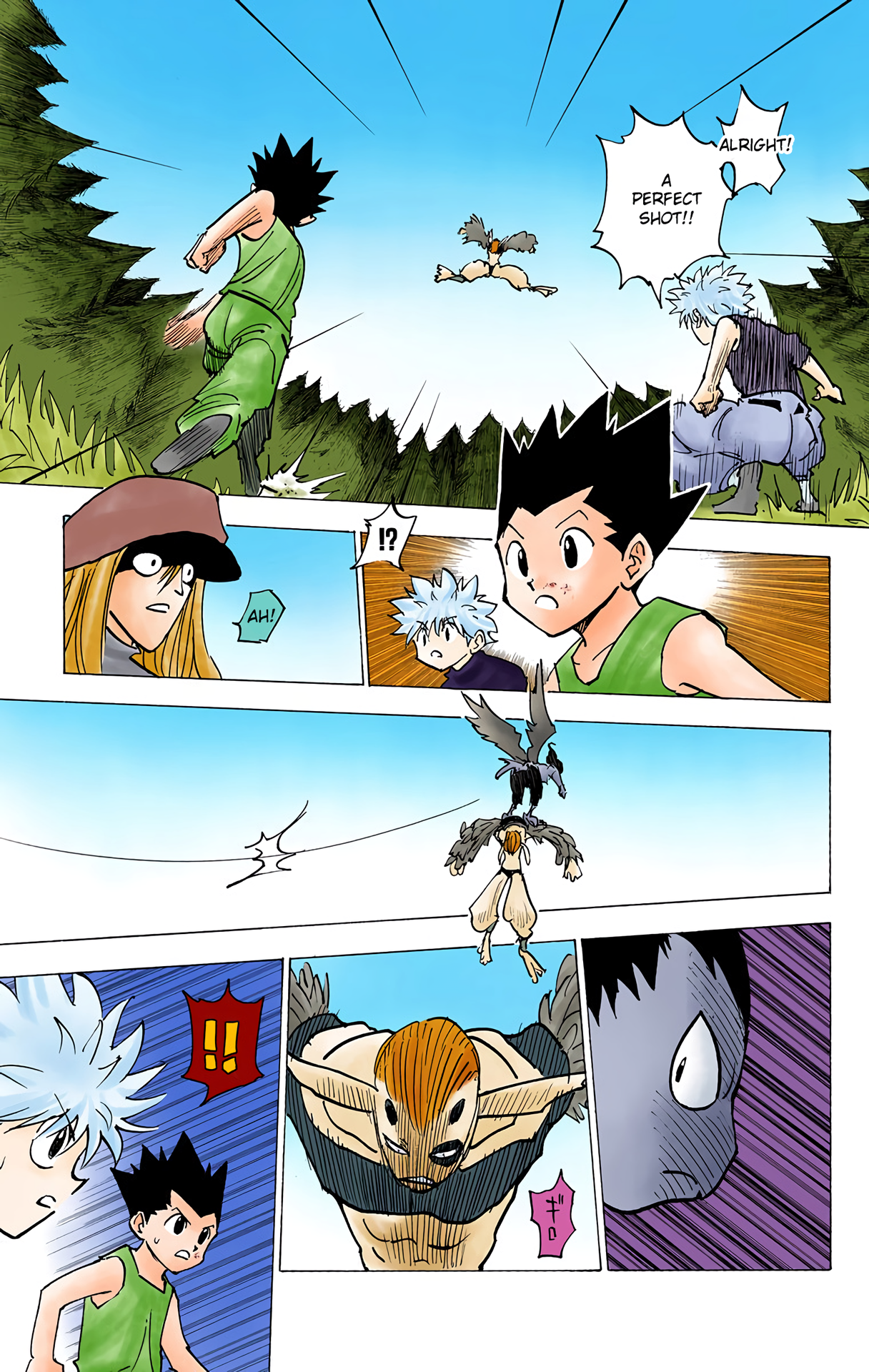 Halaman dari HUNTER x HUNTER (Official Colored) Chapter 191