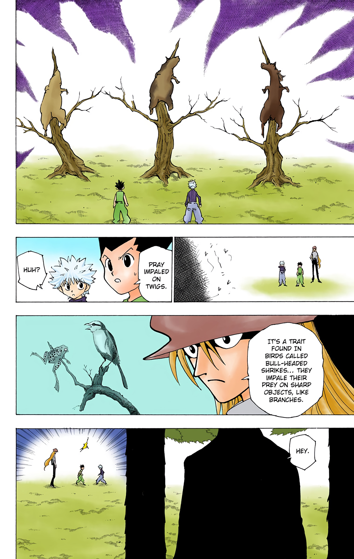 Halaman dari HUNTER x HUNTER (Official Colored) Chapter 191