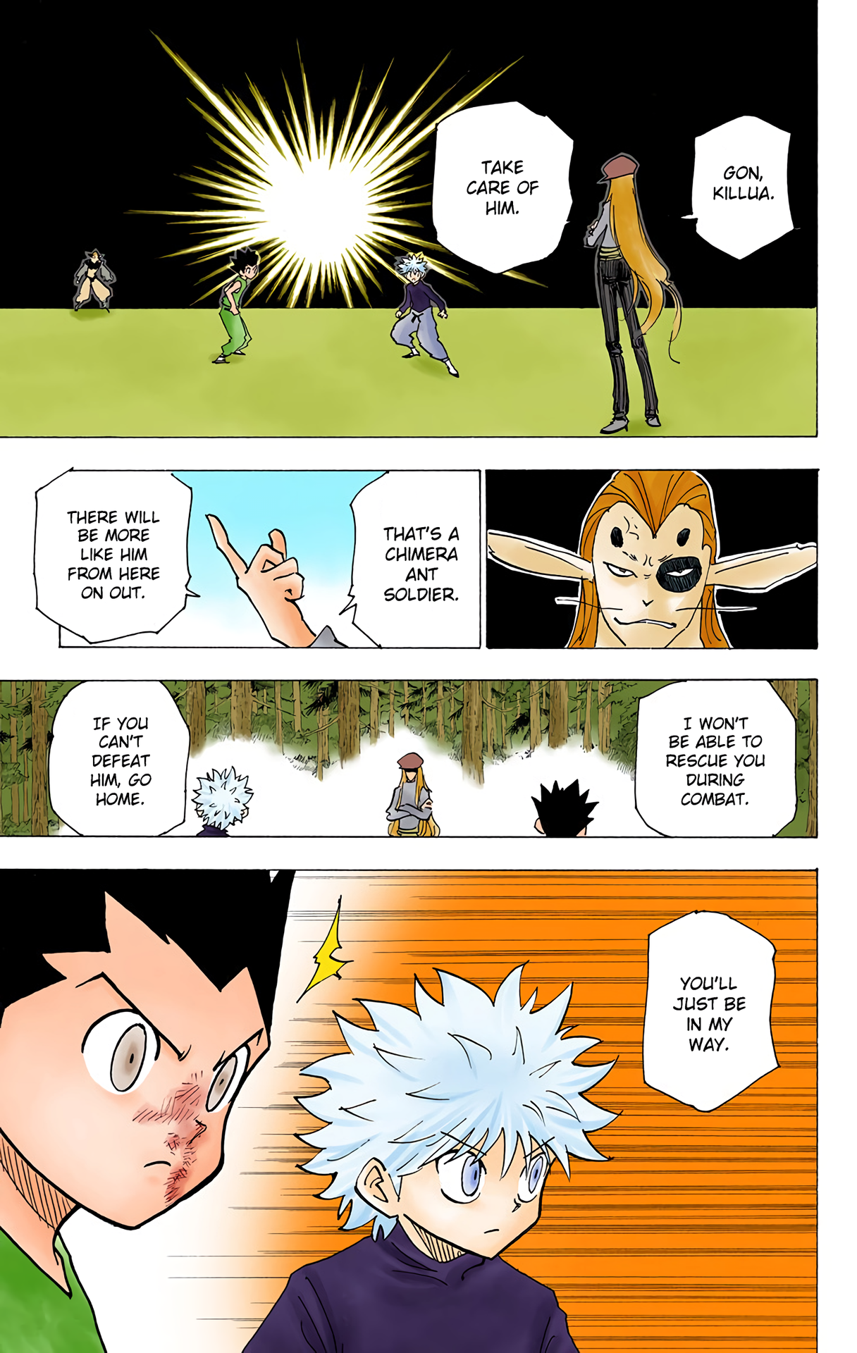 Halaman dari HUNTER x HUNTER (Official Colored) Chapter 191