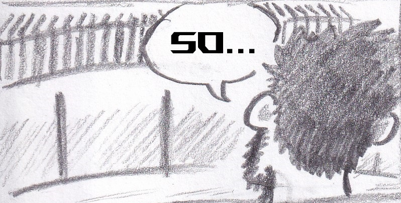 81