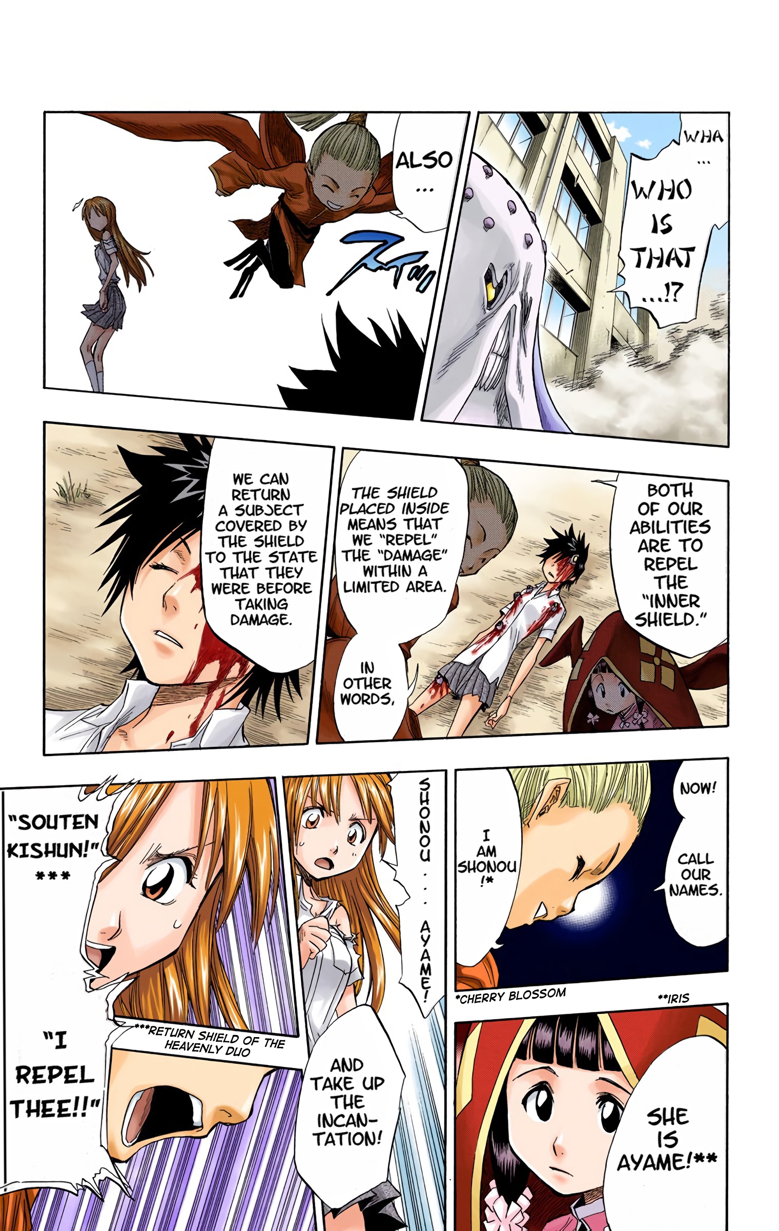 Halaman dari Bleach (Official Colored) Chapter 43