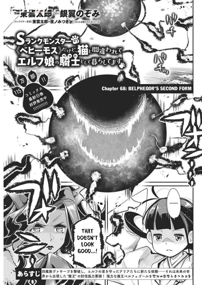 Halaman dari S-Rank Monster no "Behemoth" Dakedo, Neko to Machigawarete Elf Musume no Pet to Shite Kurashitemasu Chapter 68