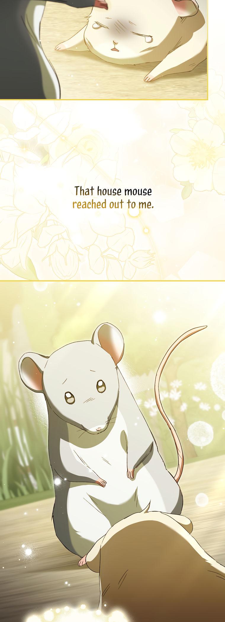 Halaman dari Cinderella's Pocket-Sized Protector Chapter 11