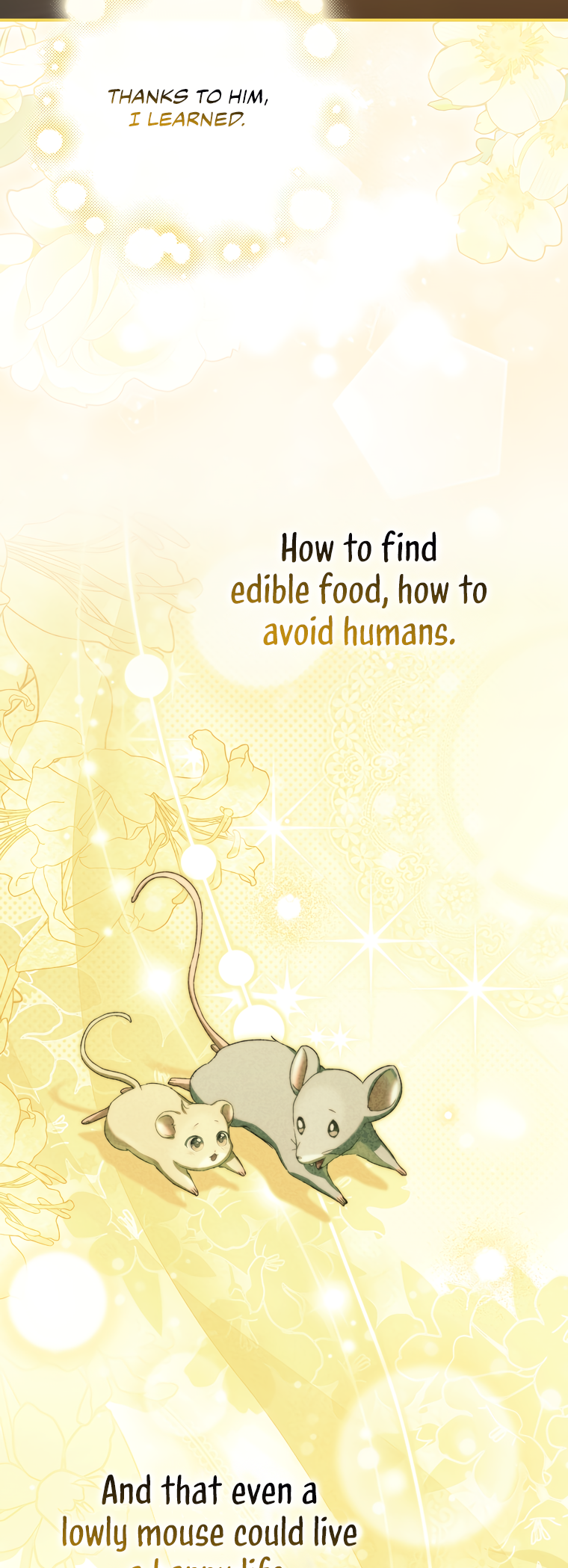 Halaman dari Cinderella's Pocket-Sized Protector Chapter 11