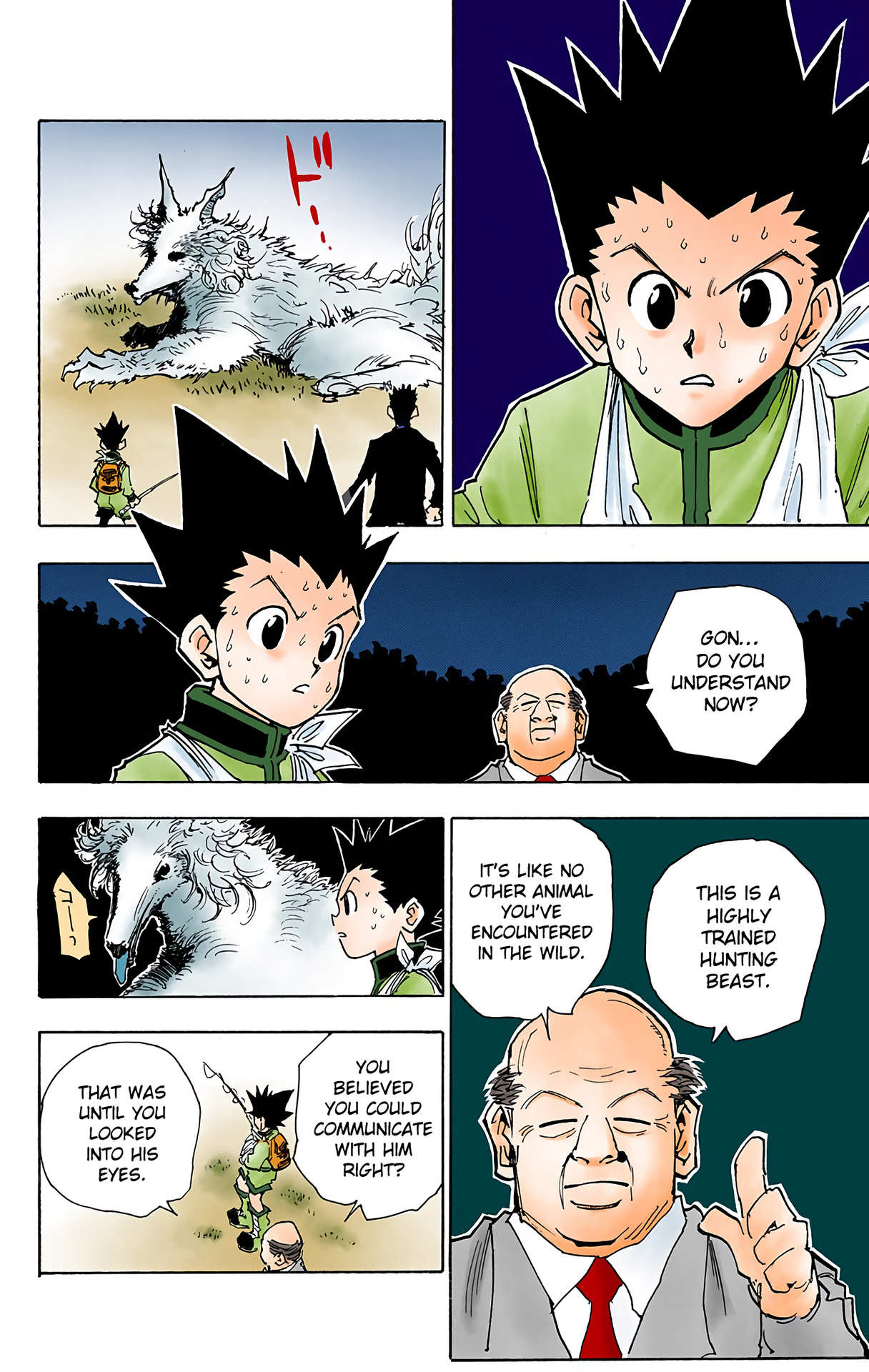 Halaman dari HUNTER x HUNTER (Official Colored) Chapter 40