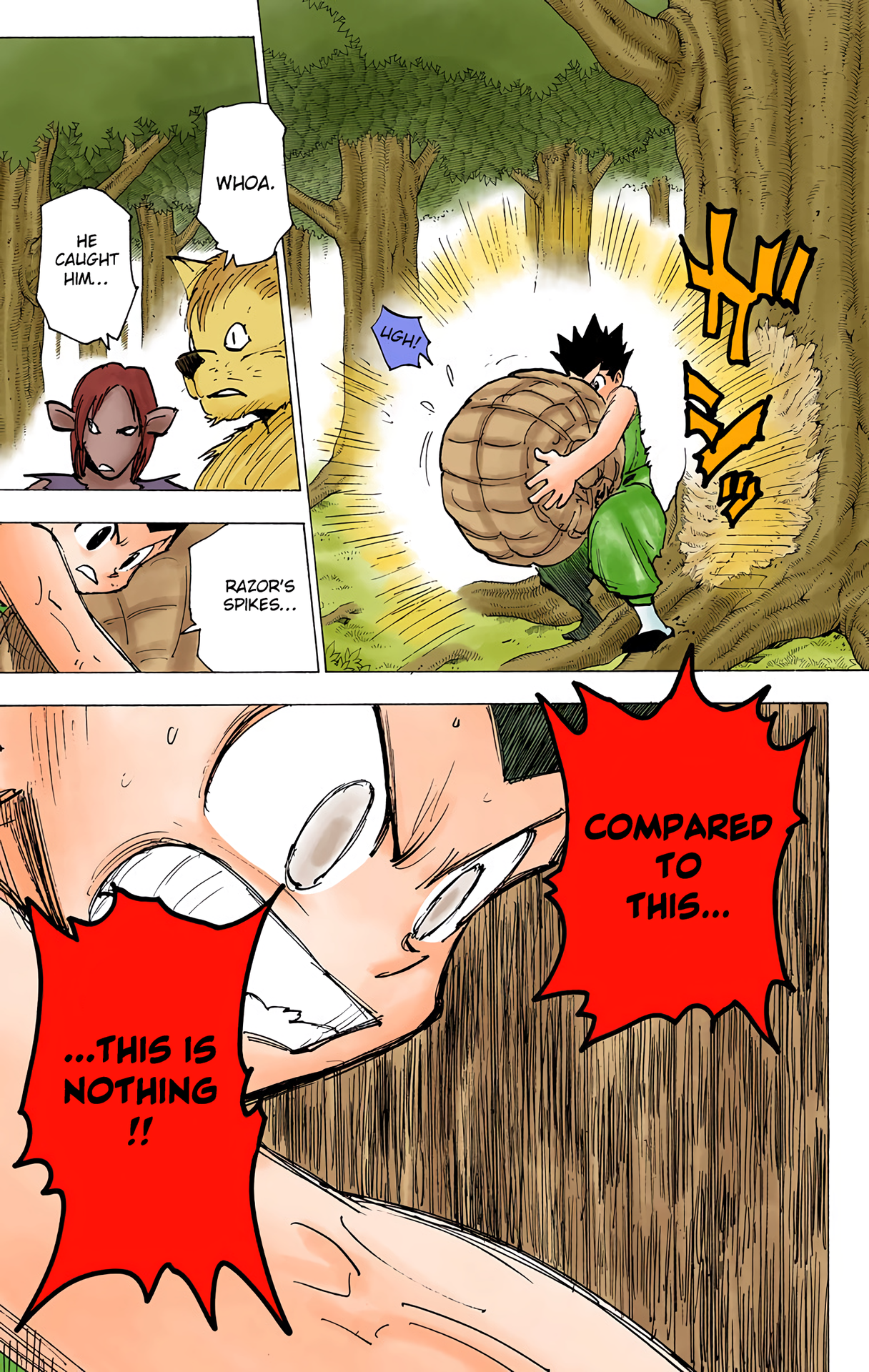Halaman dari HUNTER x HUNTER (Official Colored) Chapter 195