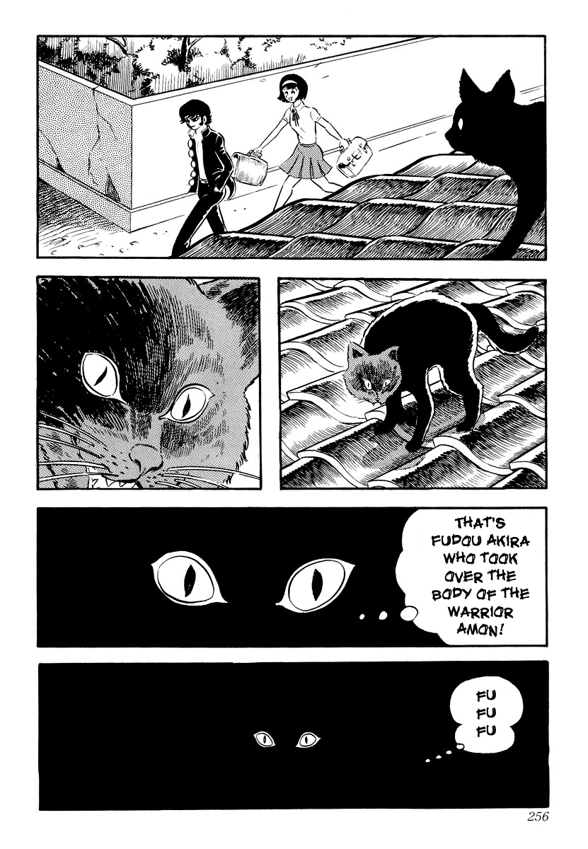 Page 251