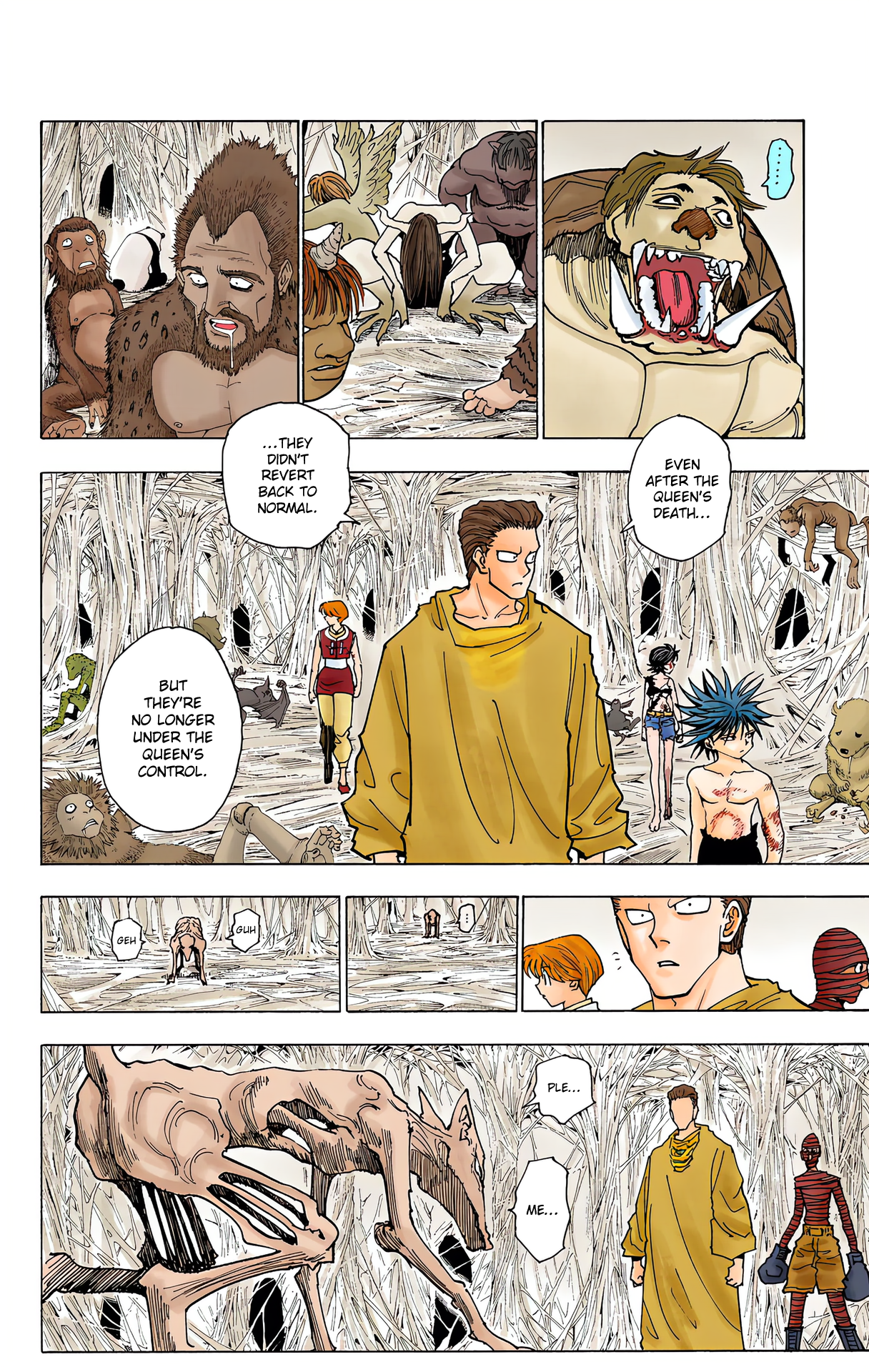 Halaman dari HUNTER x HUNTER (Official Colored) Chapter 229