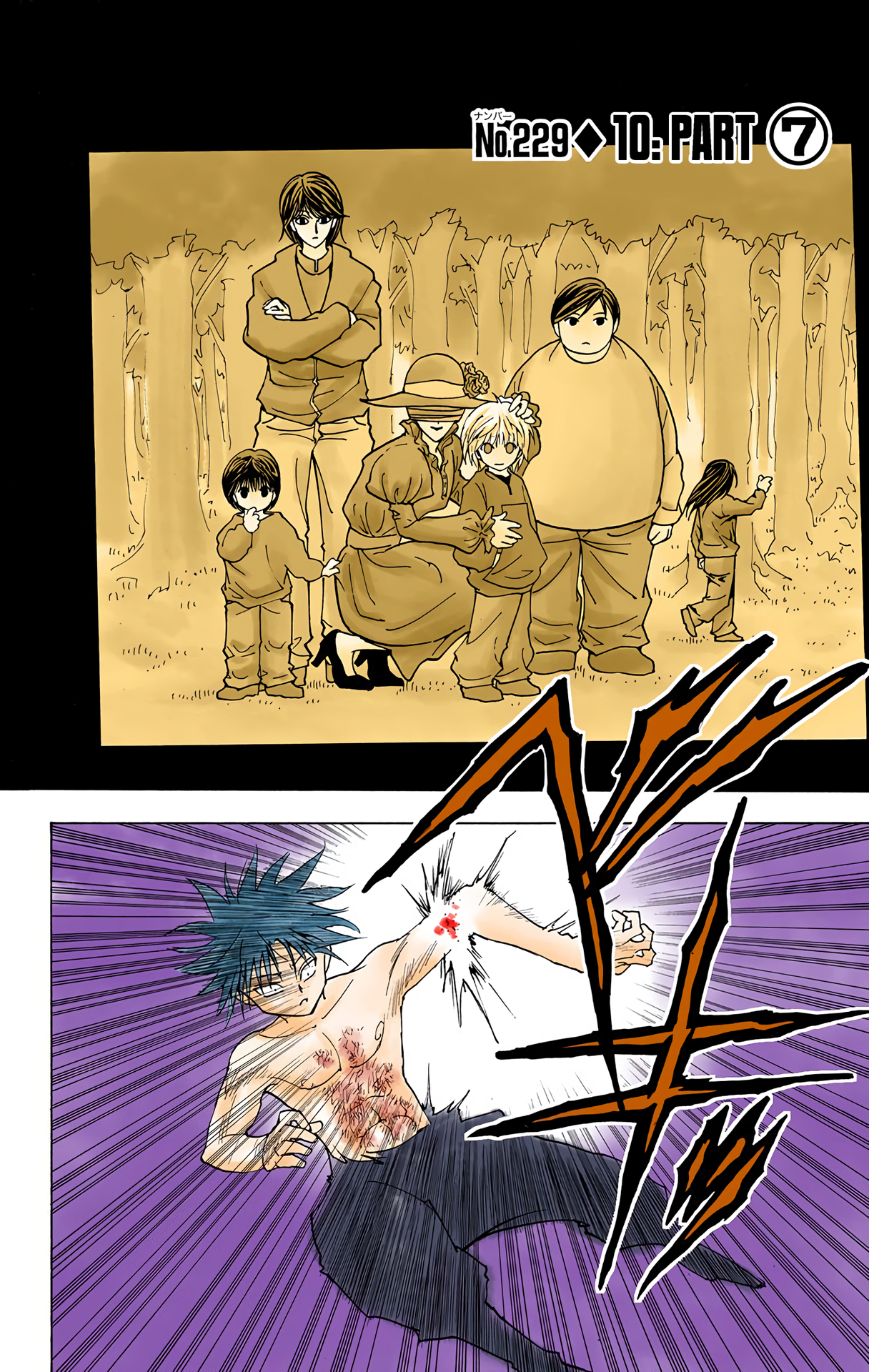 Halaman dari HUNTER x HUNTER (Official Colored) Chapter 229