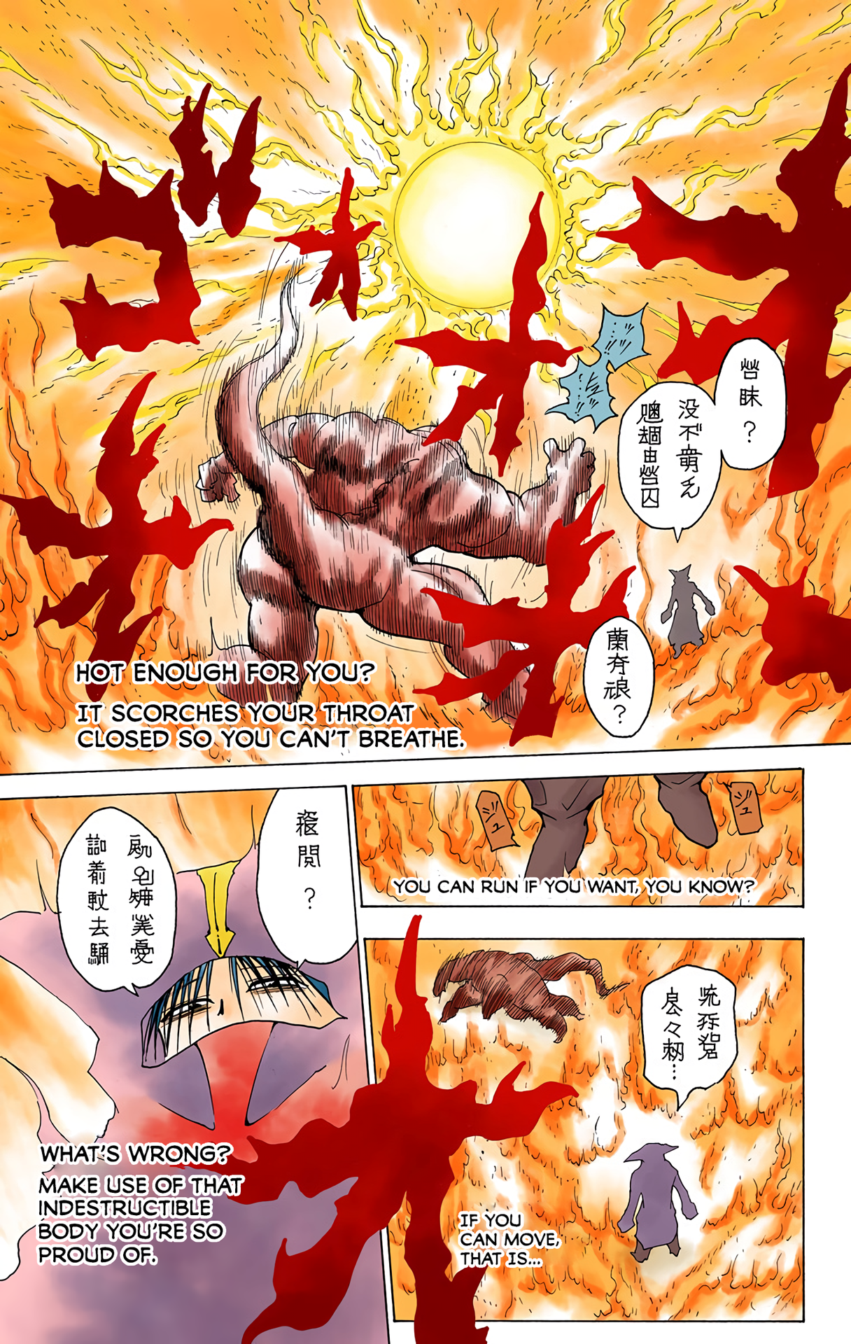 Halaman dari HUNTER x HUNTER (Official Colored) Chapter 229