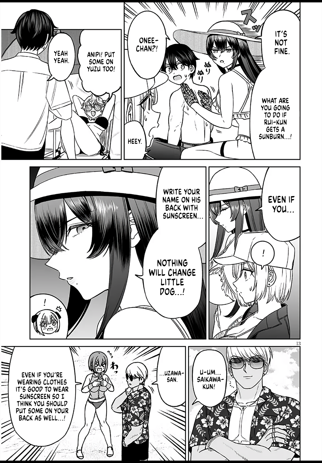 Page 13