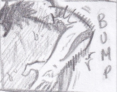 85