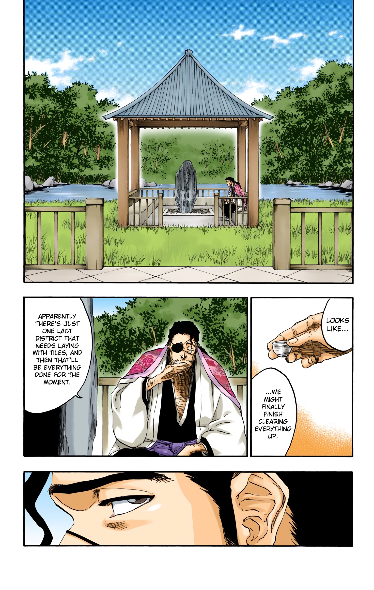 Halaman dari Bleach (Official Colored) Chapter 685