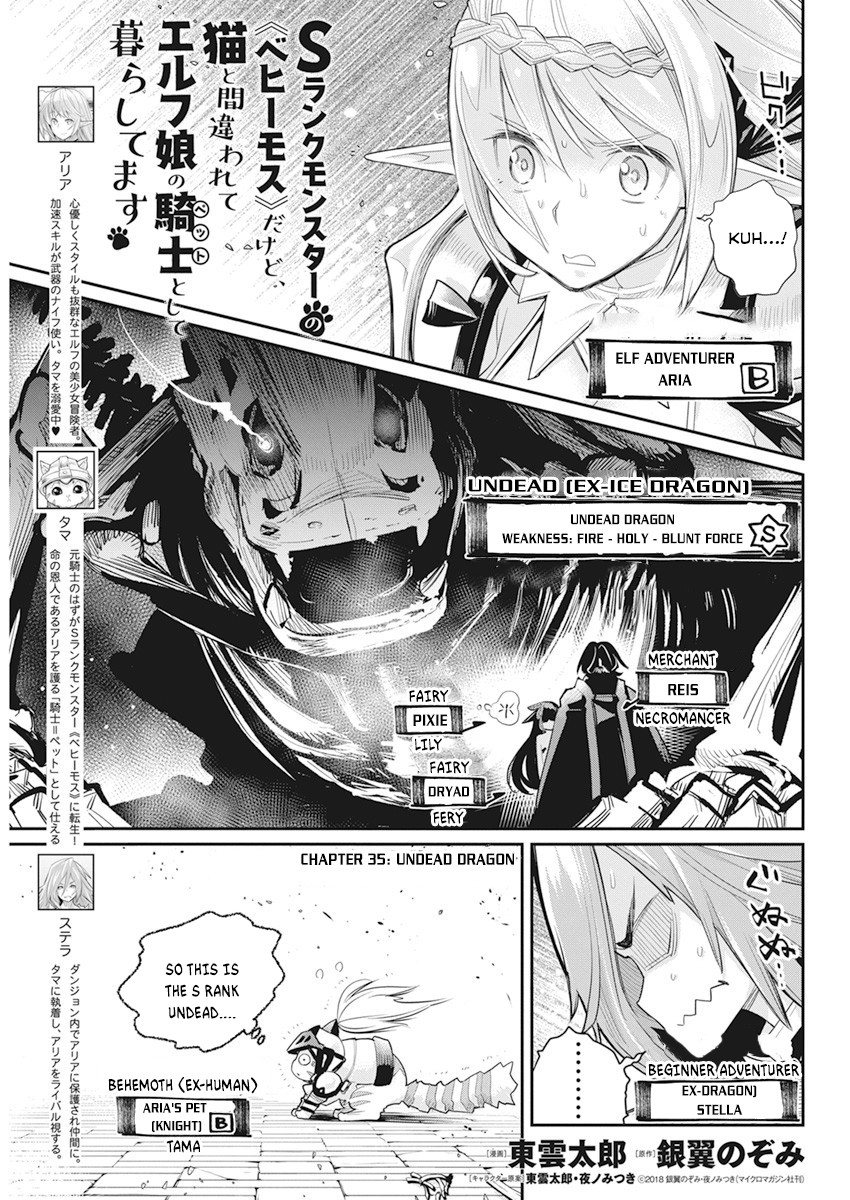Halaman dari S-Rank Monster no "Behemoth" Dakedo, Neko to Machigawarete Elf Musume no Pet to Shite Kurashitemasu Chapter 35