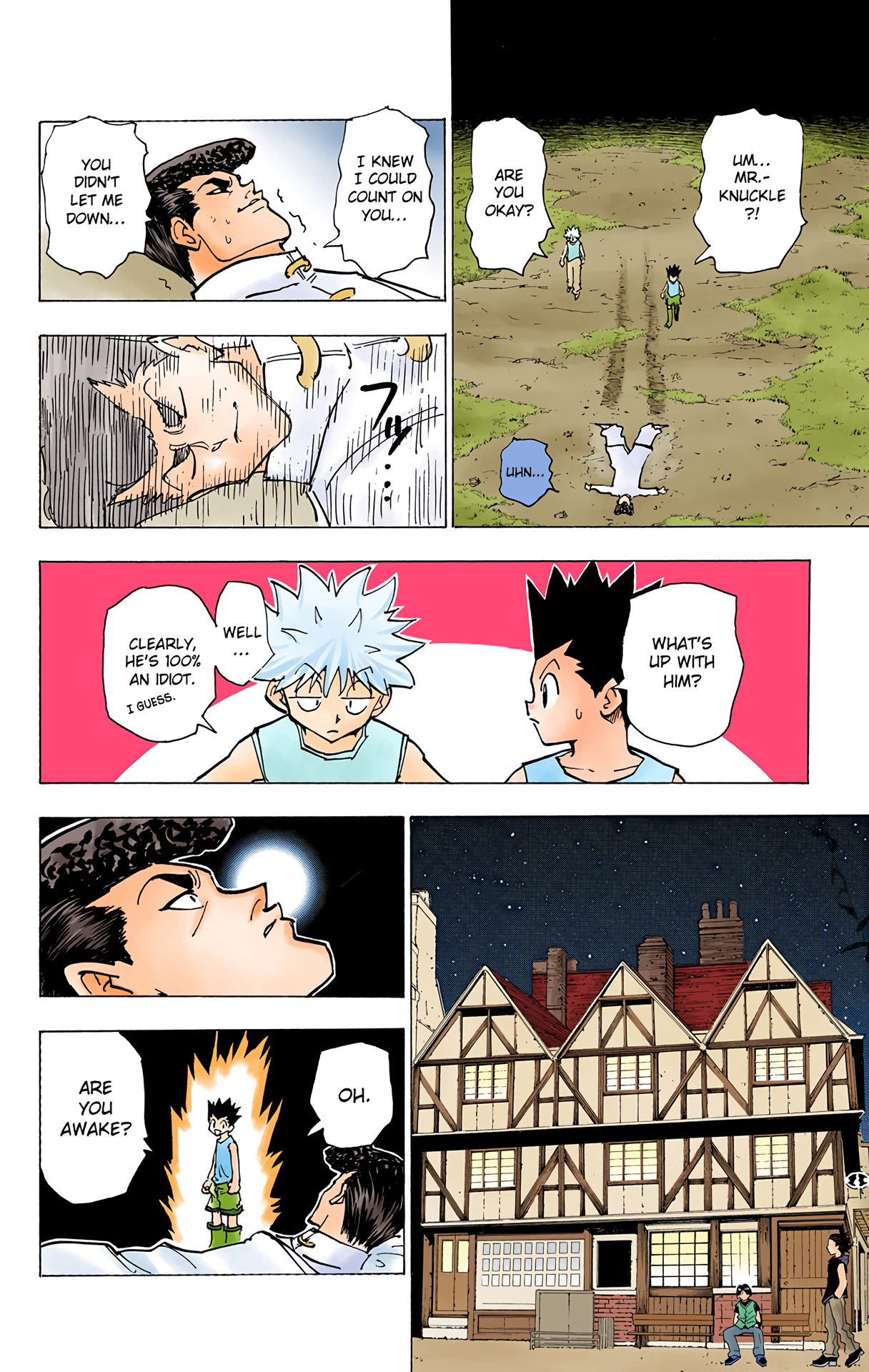 Halaman dari HUNTER x HUNTER (Official Colored) Chapter 203