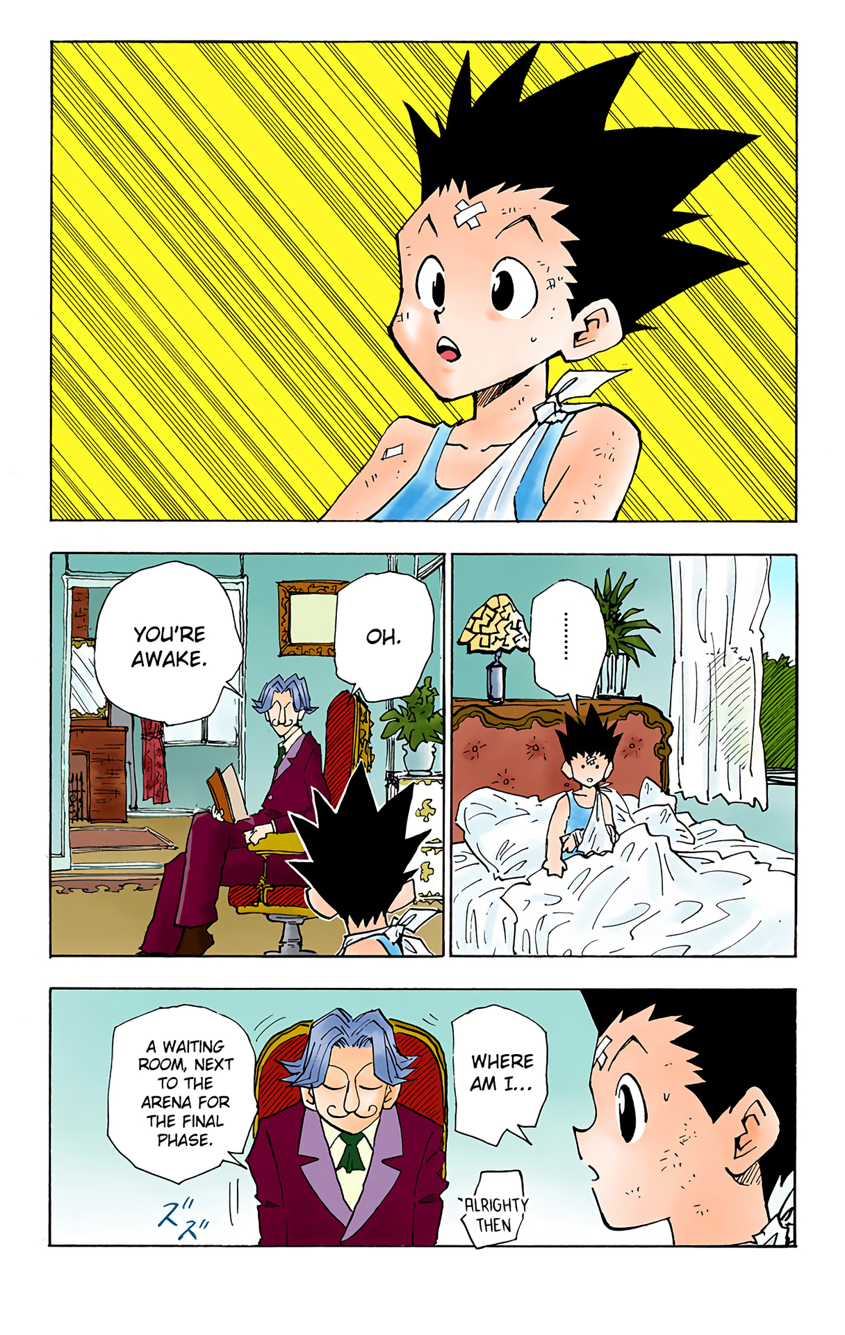 Halaman dari HUNTER x HUNTER (Official Colored) Chapter 35