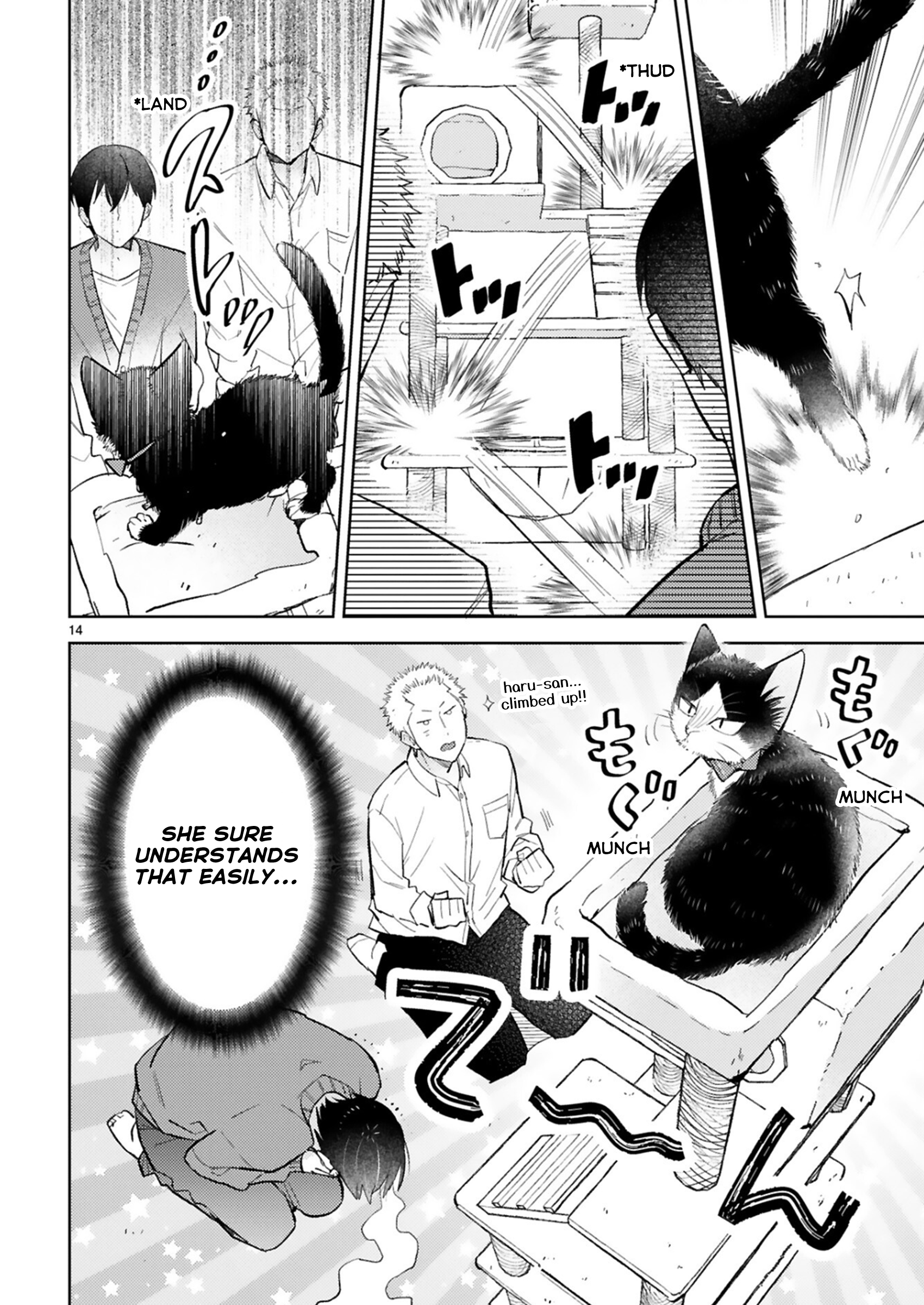 14