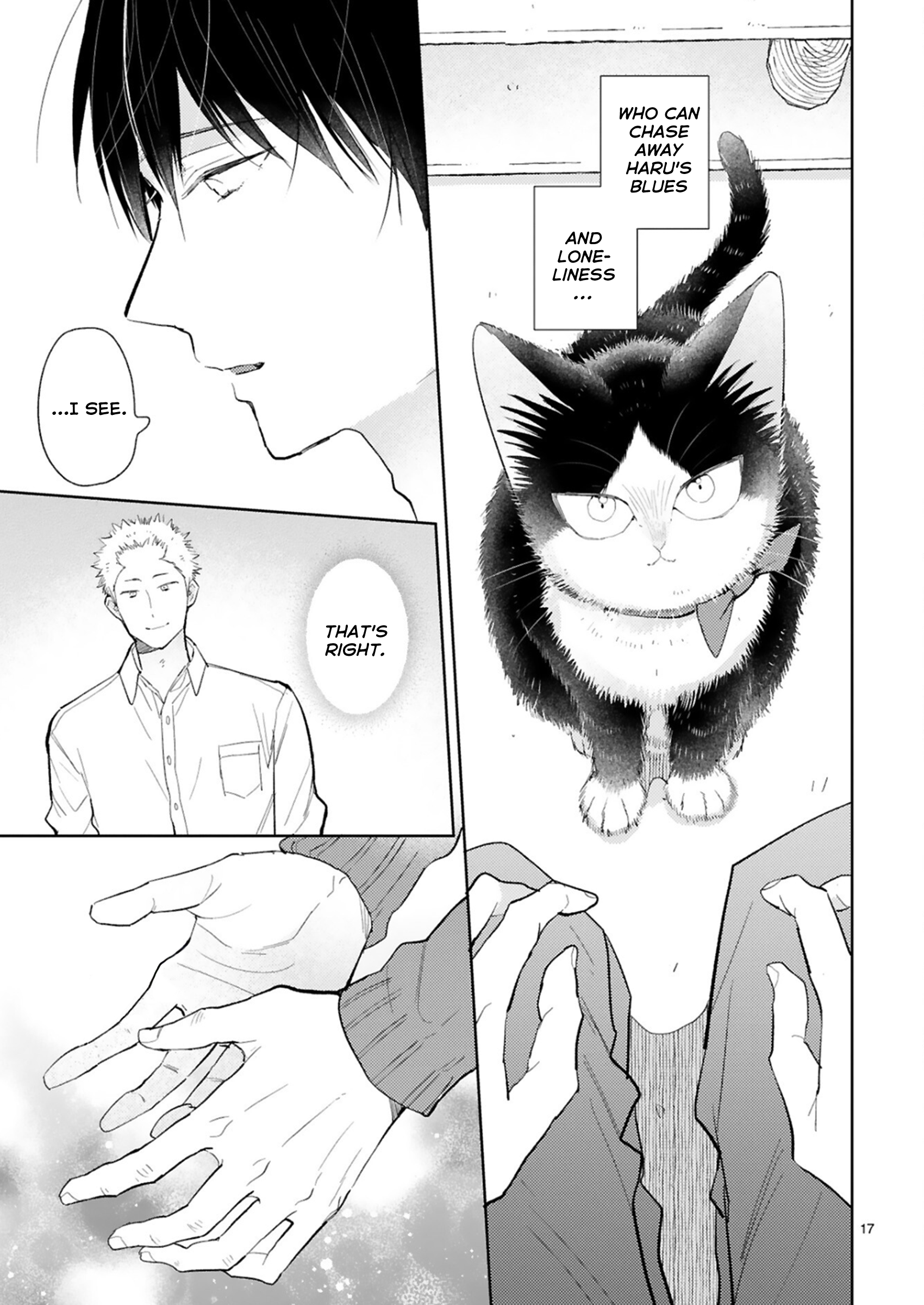17
