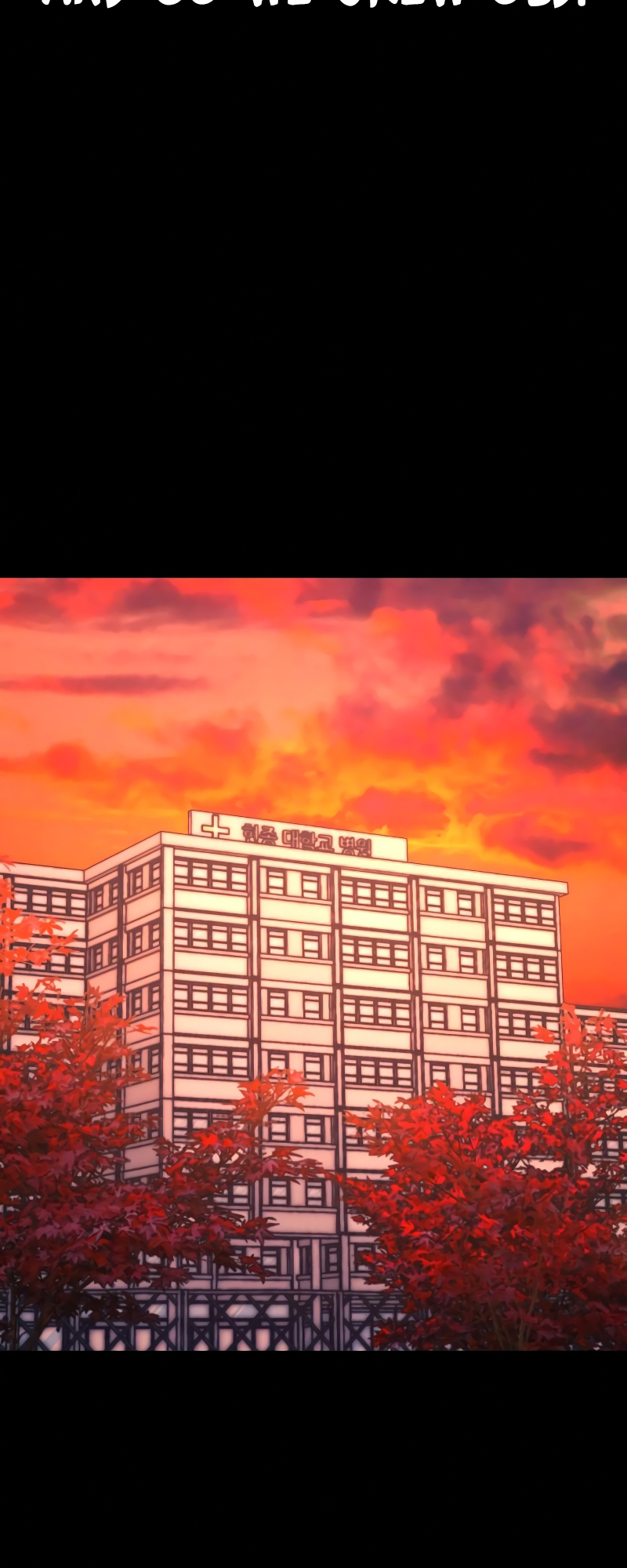 81